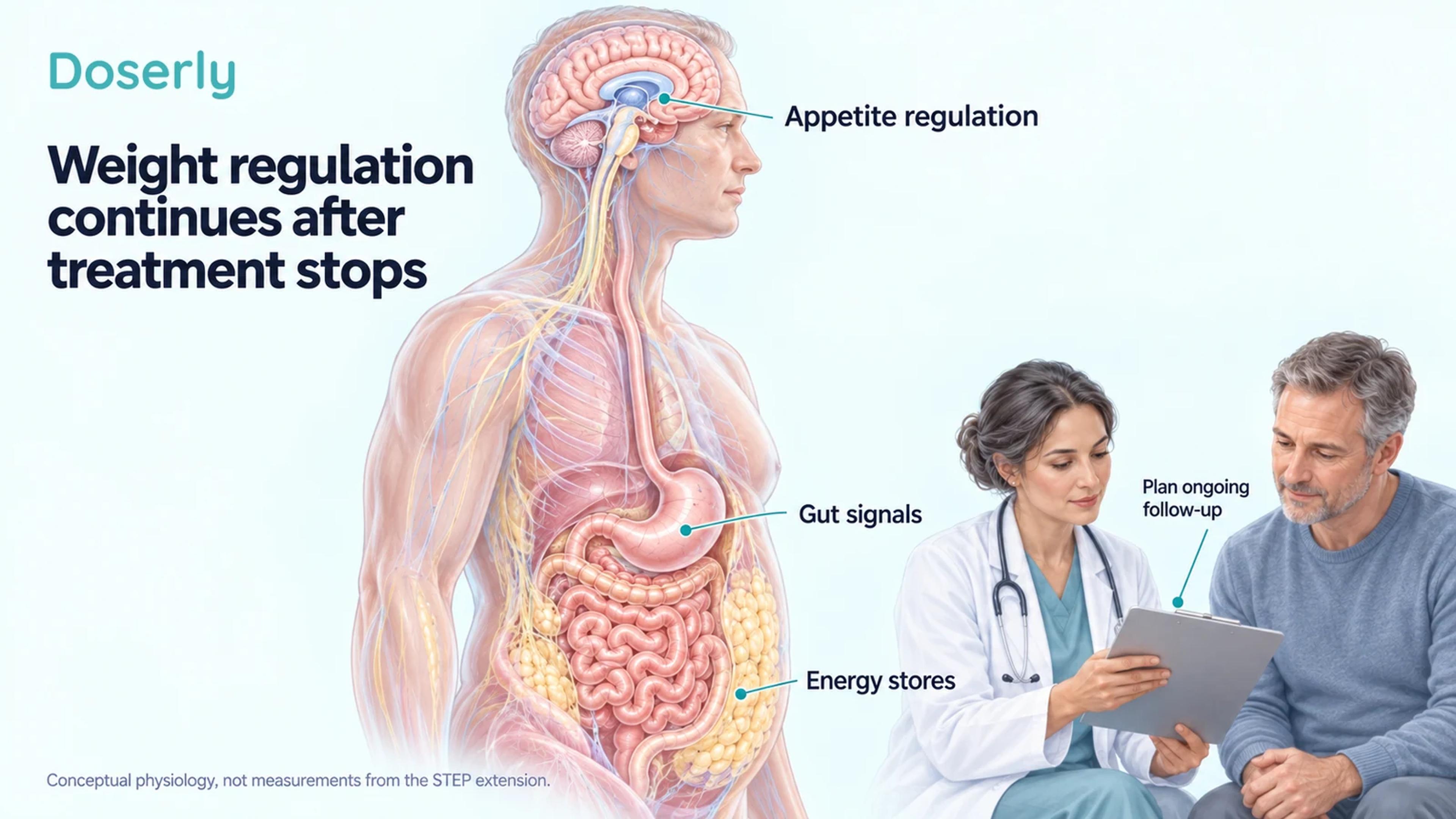 Conceptual brain, gut and energy-store anatomy beside a clinician discussing ongoing follow-up.