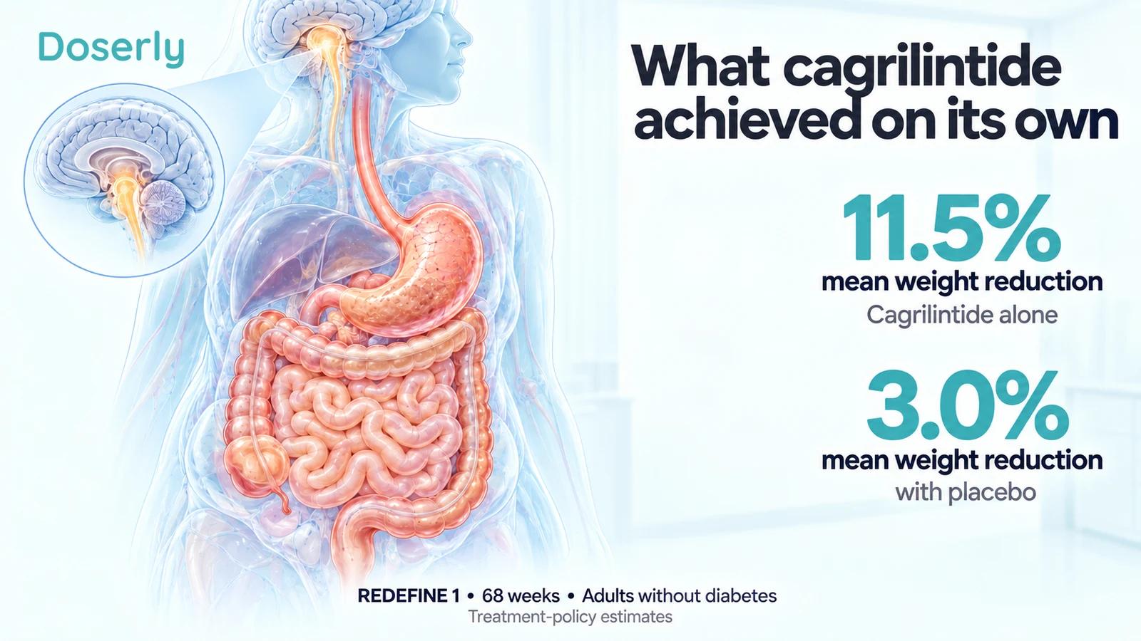 Cagrilintide-alone and placebo weight reductions in REDEFINE 1 beside translucent anatomy