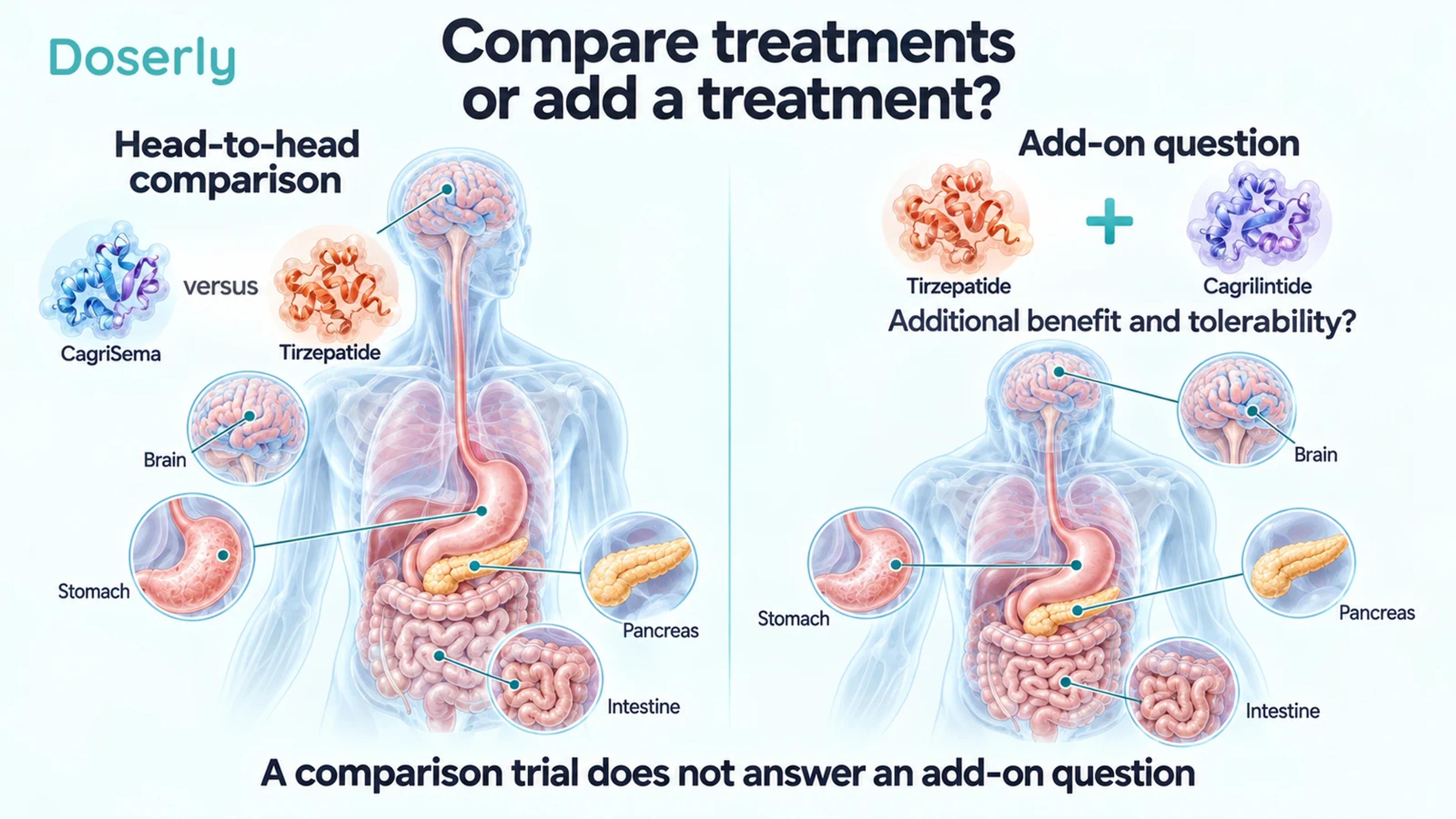 Two anatomical scenes distinguish a head-to-head comparison from a cagrilintide add-on question