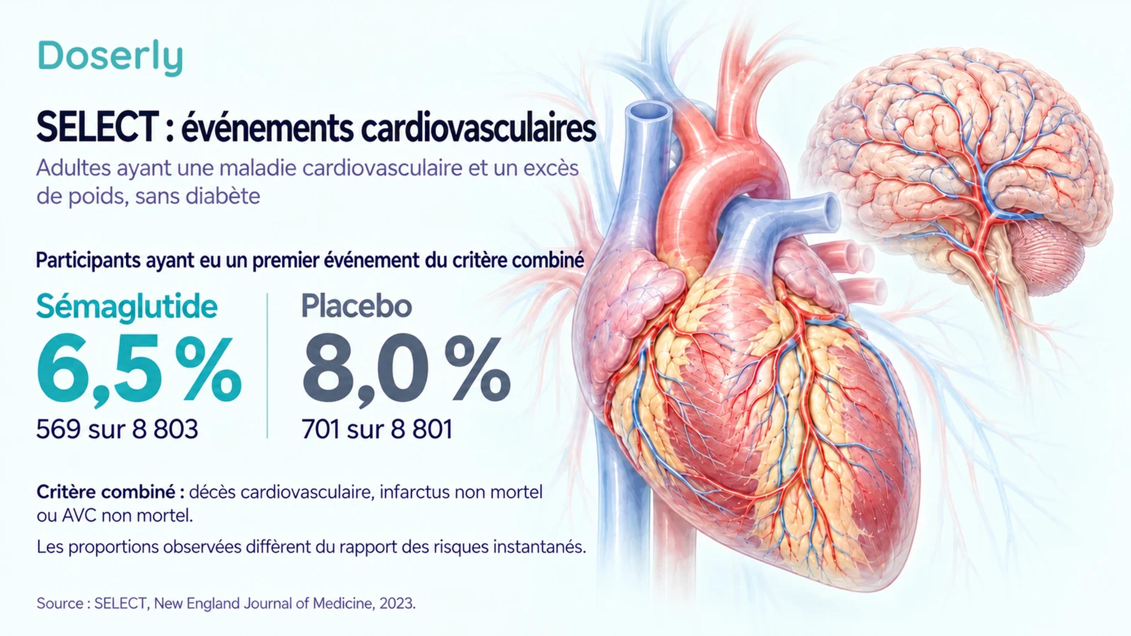 Proportions d’événements observées dans SELECT : 6,5 pour cent avec le sémaglutide et 8,0 pour cent avec le placebo, accompagnées d’illustrations détaillées du cœur et du cerveau.