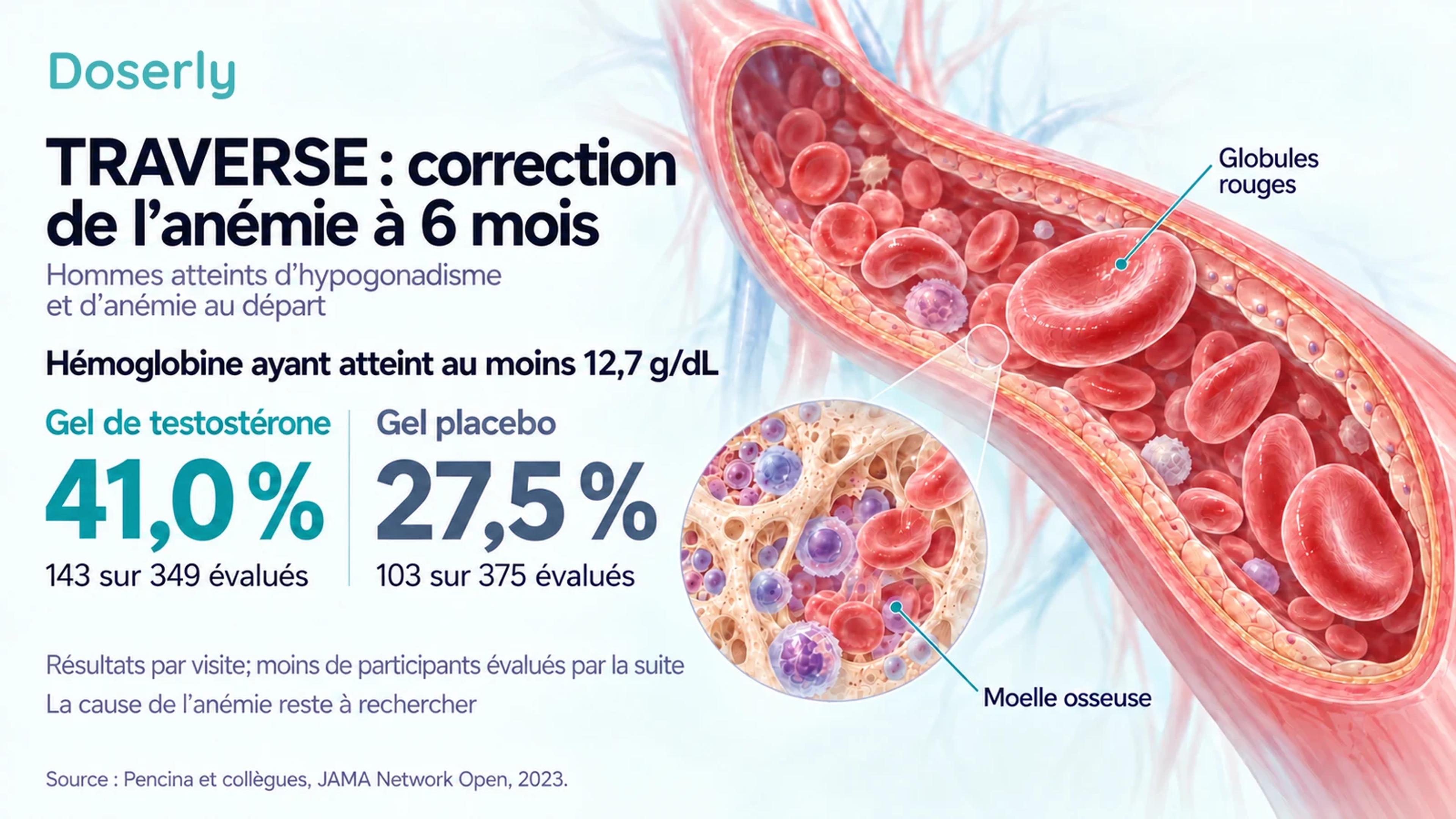 Correction de l’anémie dans TRAVERSE à six mois : 41,0 % des participants évalués sous testostérone et 27,5 % de ceux sous placebo ont atteint le seuil d’hémoglobine de l’étude.
