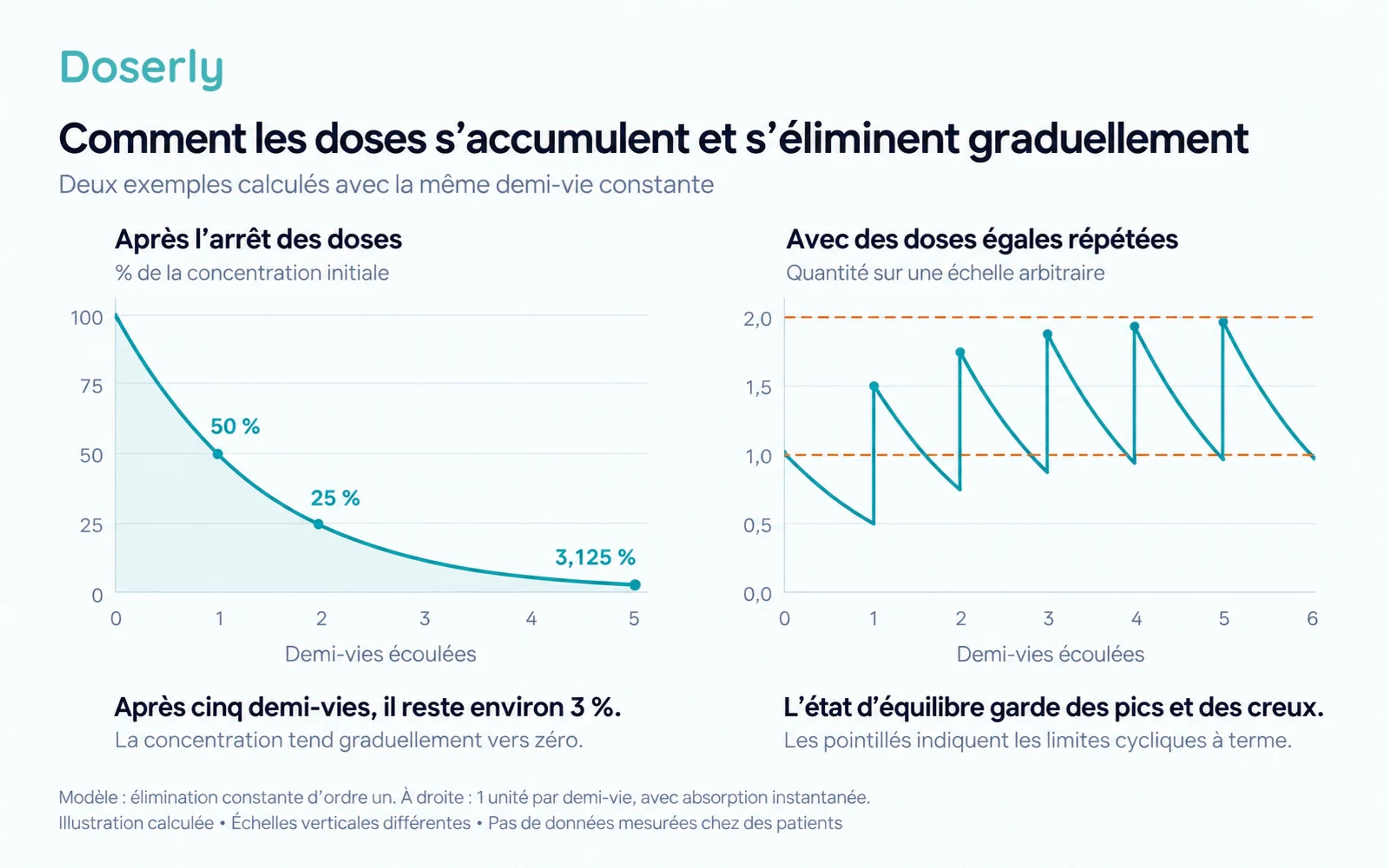Diagrammes calculés montrant la concentration qui diminue de moitié après l’arrêt du traitement et des doses égales répétées qui s’approchent d’un profil cyclique de pics et de creux.