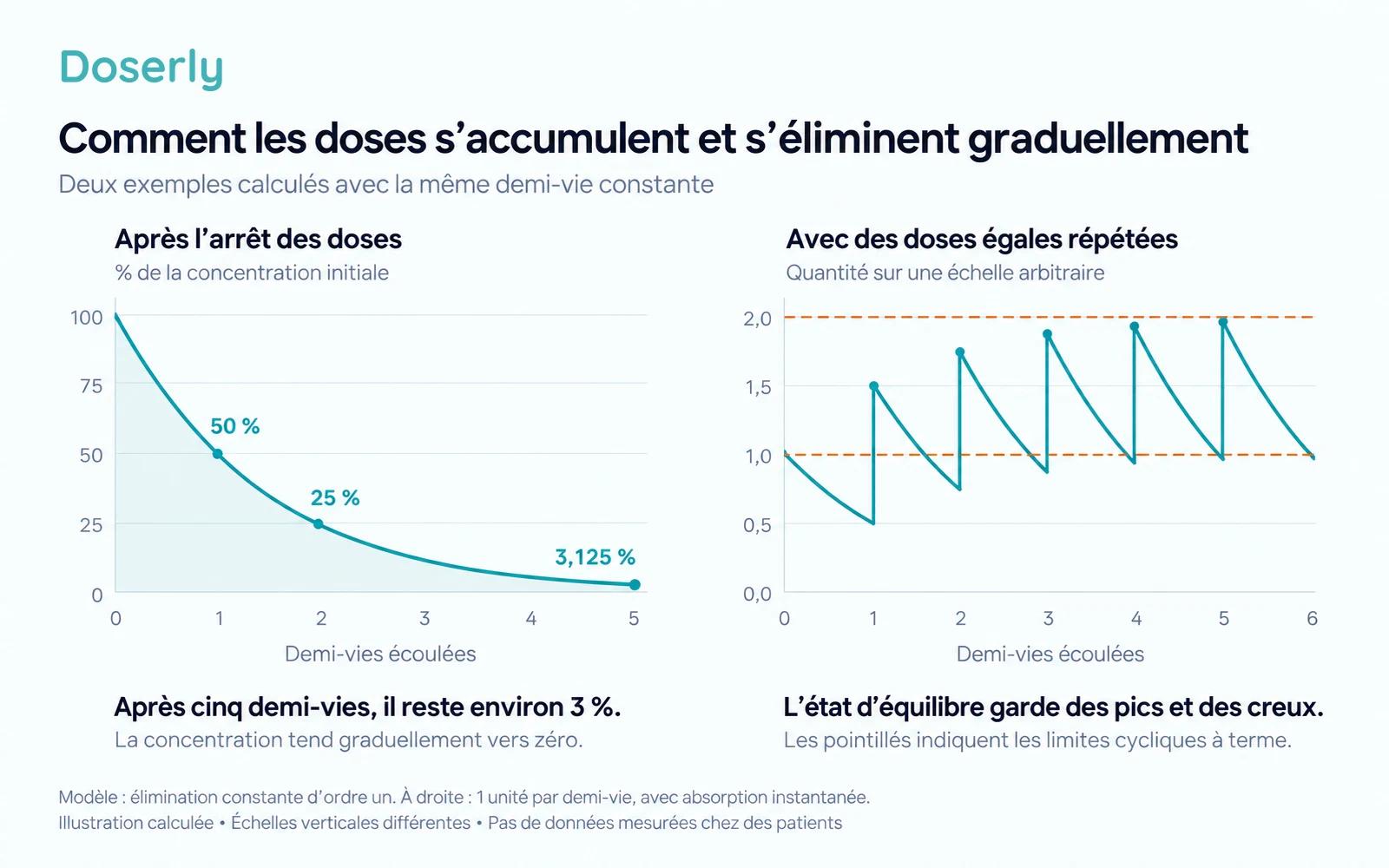Diagrammes calculés montrant la concentration qui diminue de moitié après l’arrêt du traitement et des doses égales répétées qui s’approchent d’un profil cyclique de pics et de creux.