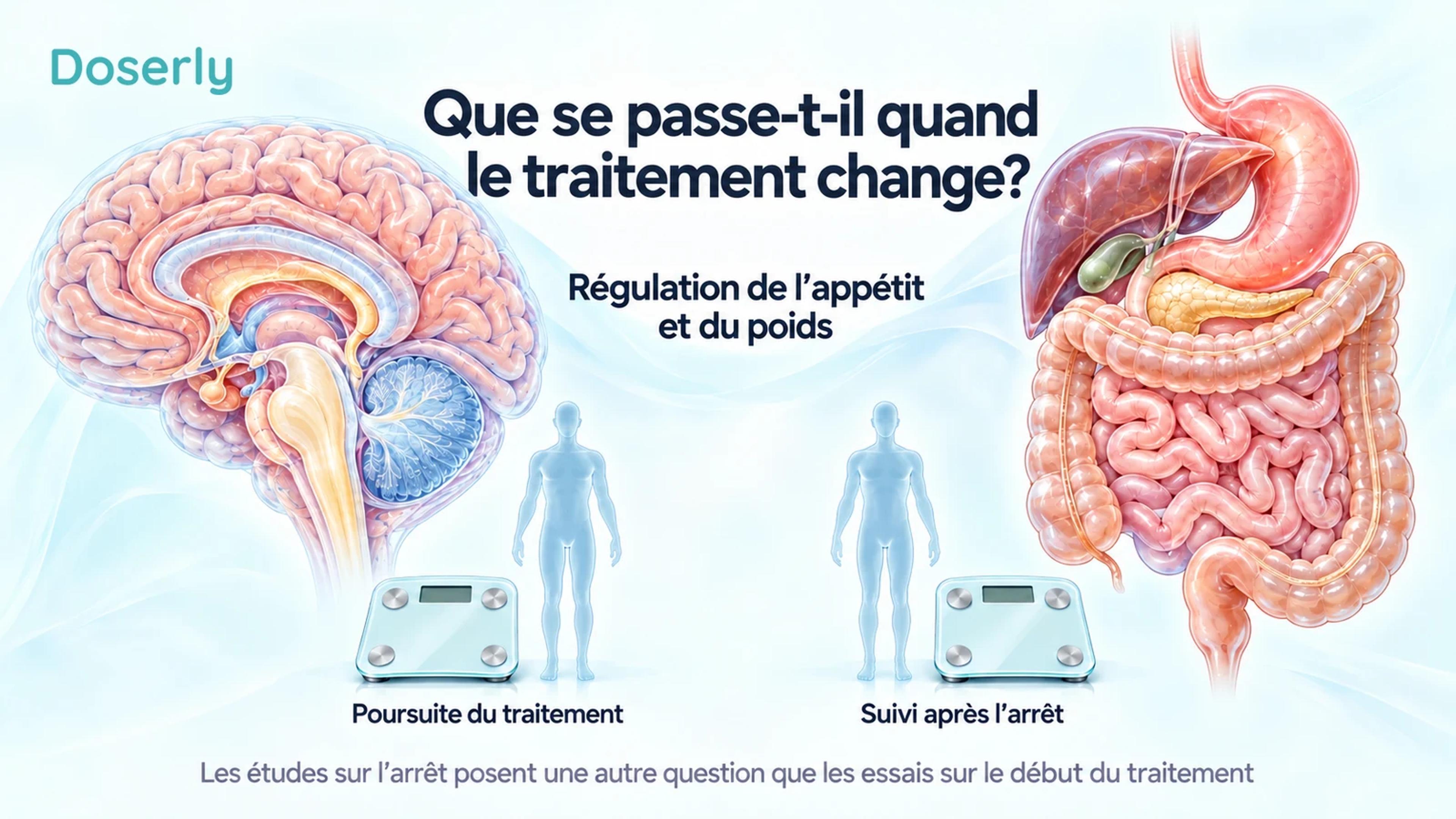 L’anatomie du cerveau et du système digestif accompagne des silhouettes identiques et des balances sans valeur affichée représentant la poursuite du traitement et le suivi après l’arrêt.