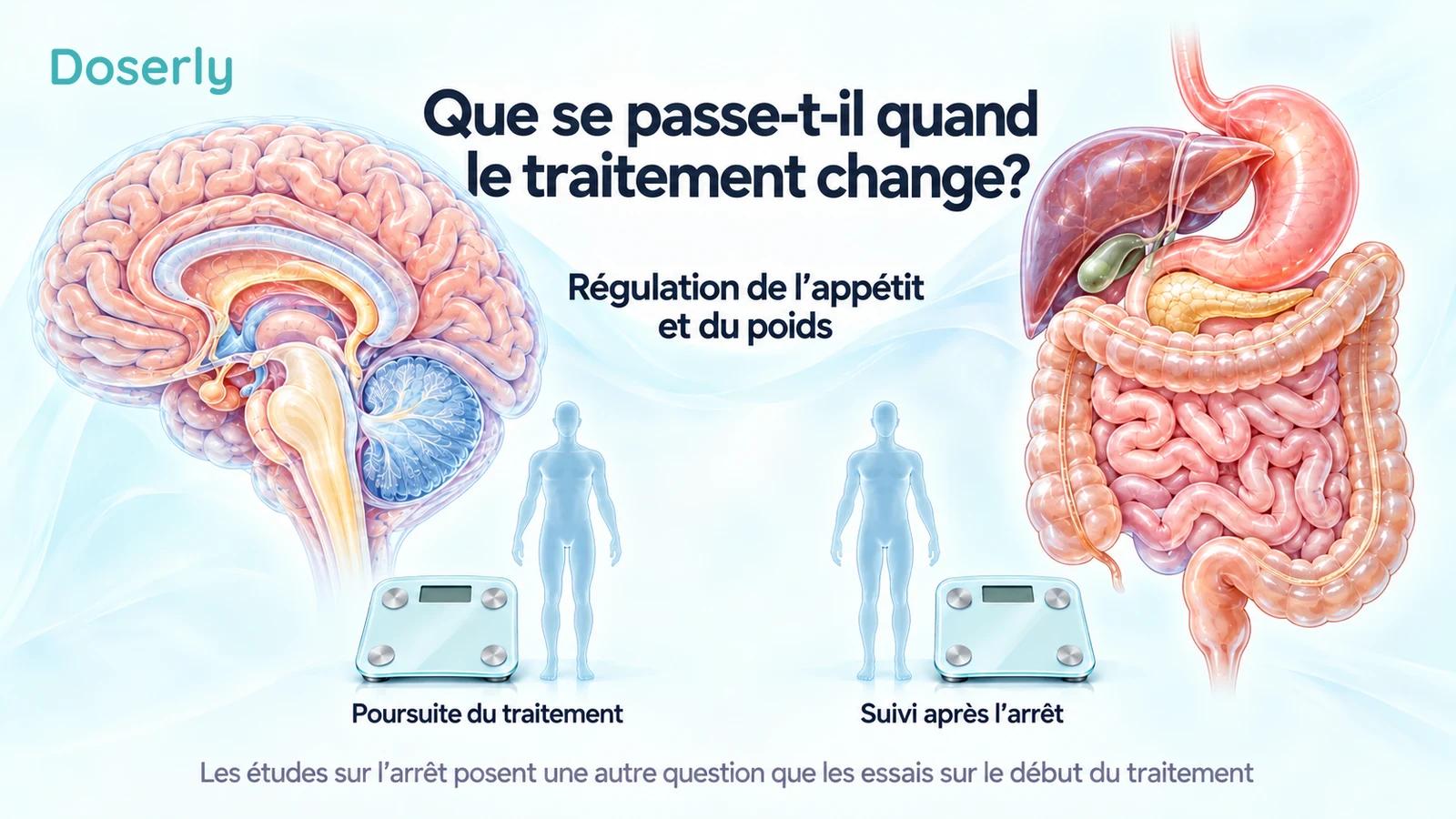 L’anatomie du cerveau et du système digestif accompagne des silhouettes identiques et des balances sans valeur affichée représentant la poursuite du traitement et le suivi après l’arrêt.