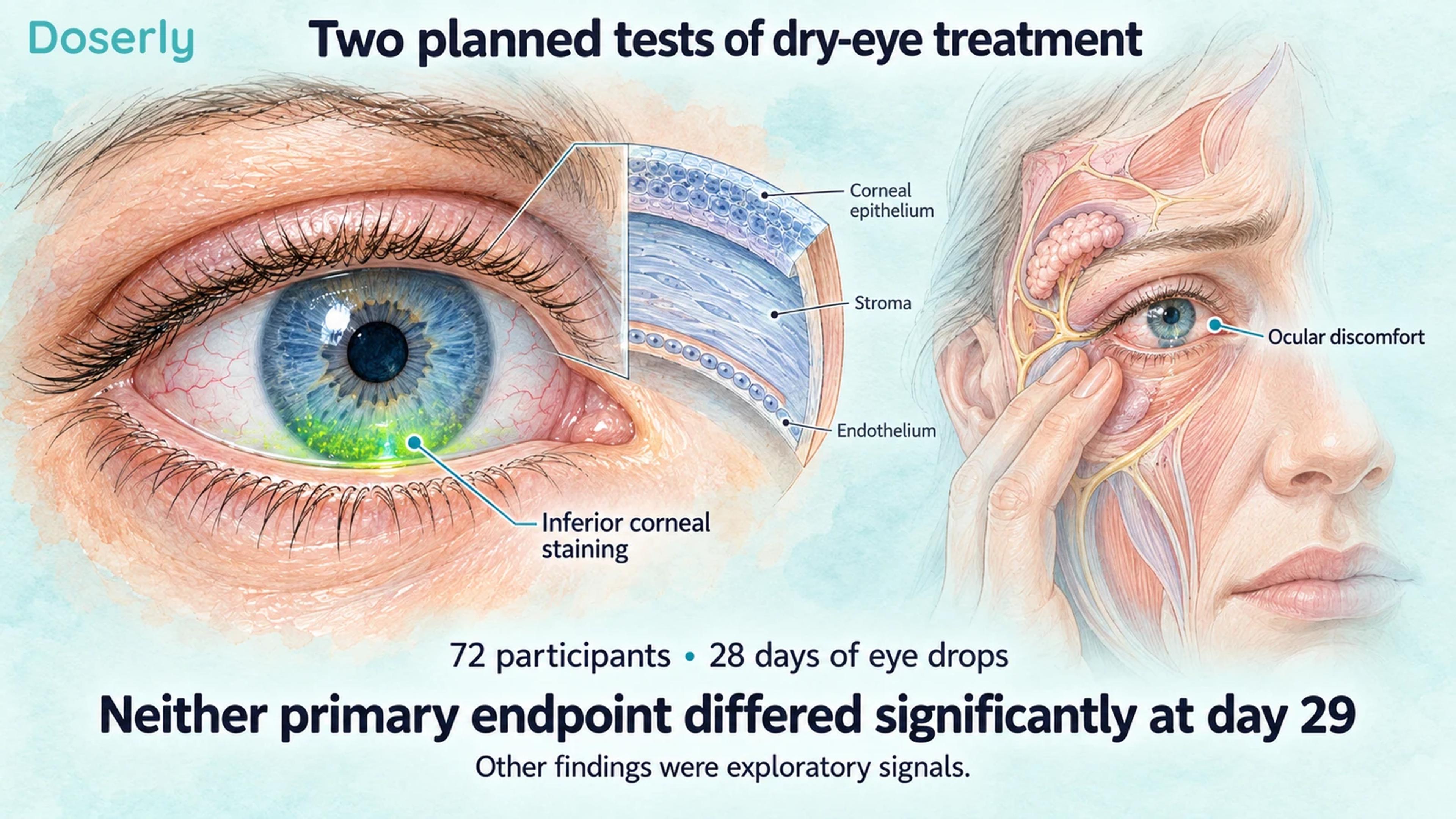Illustrated eye with inferior corneal staining and a translucent facial cutaway representing ocular discomfort.