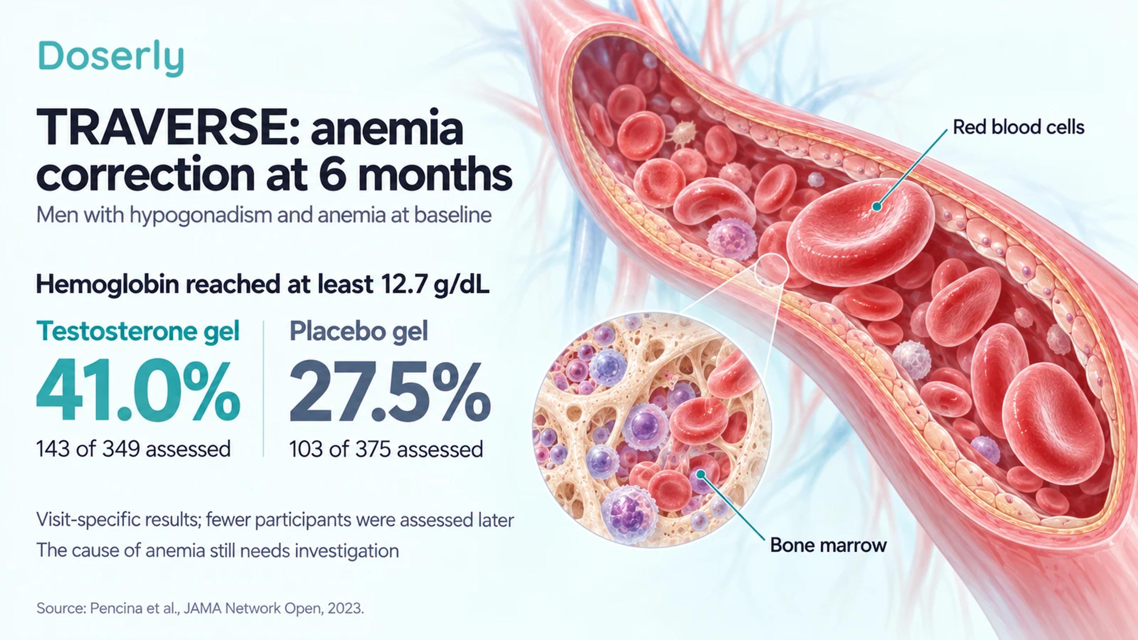 TRAVERSE anemia correction at six months: 41.0 percent of assessed testosterone participants and 27.5 percent of assessed placebo participants reached the study hemoglobin threshold.