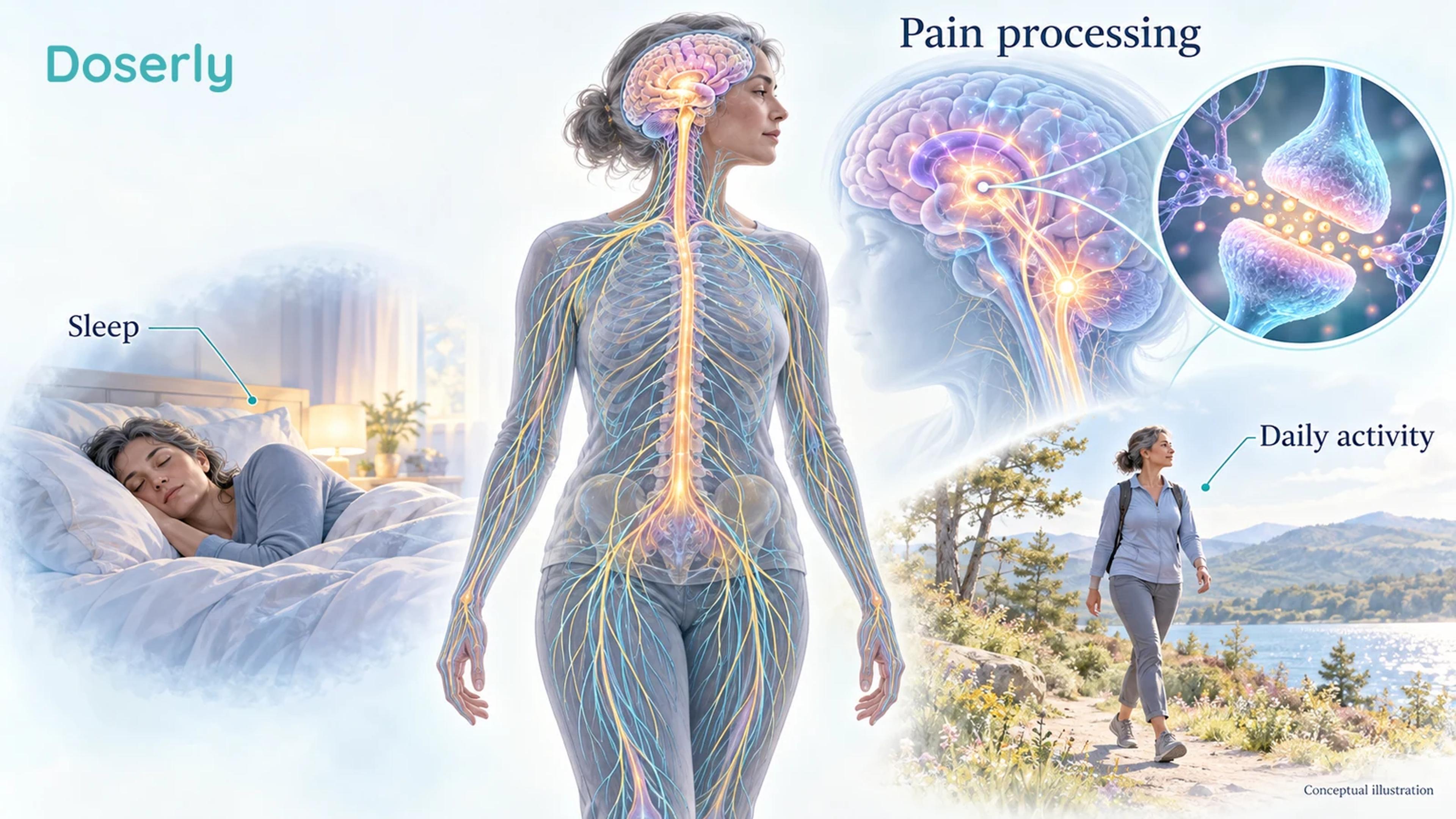 A translucent human nervous system connects the brain, spinal cord and peripheral nerves, with separate sleep and daily activity scenes.