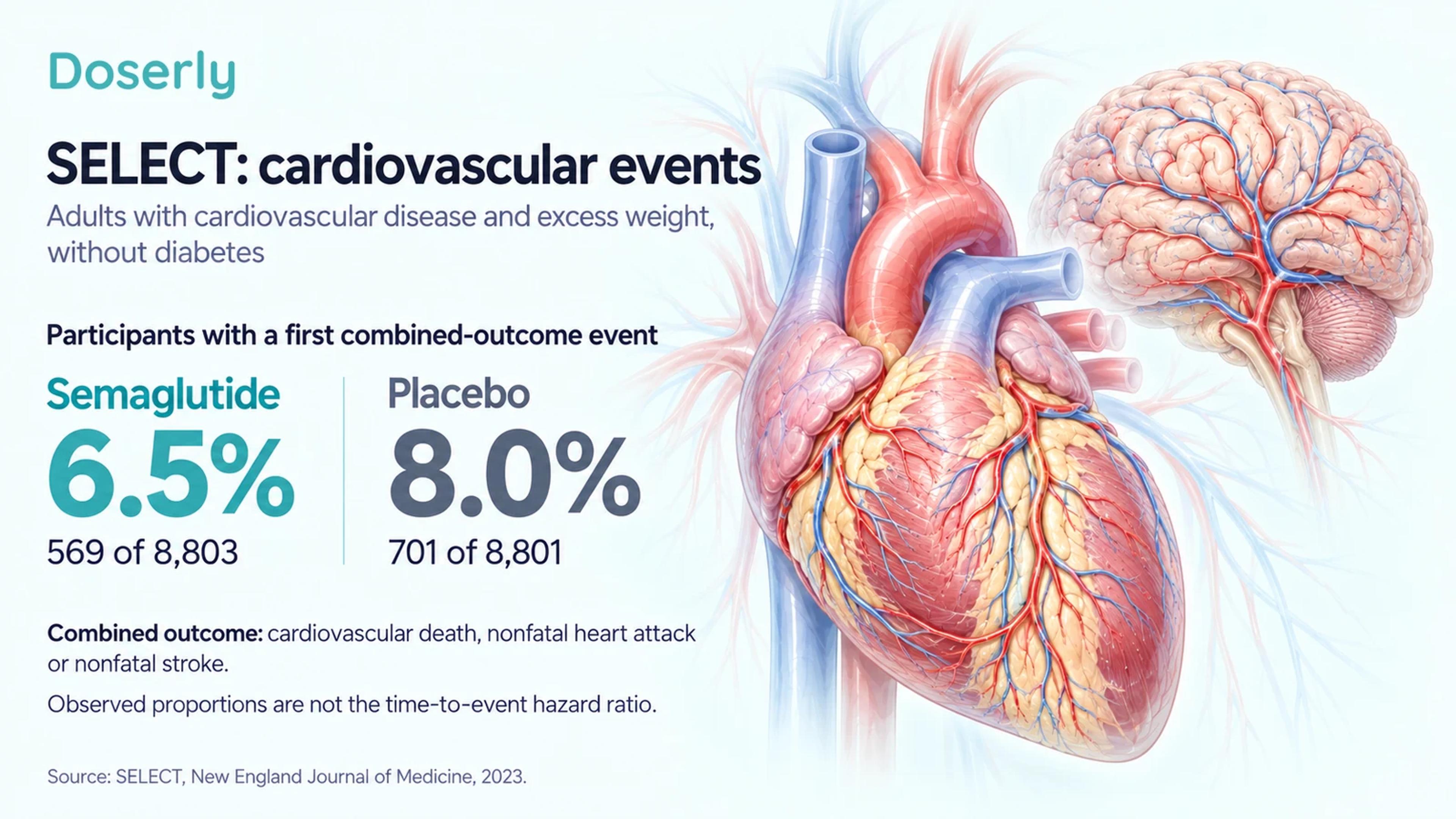 SELECT observed event proportions of 6.5 percent with semaglutide and 8.0 percent with placebo alongside detailed heart and brain illustrations.