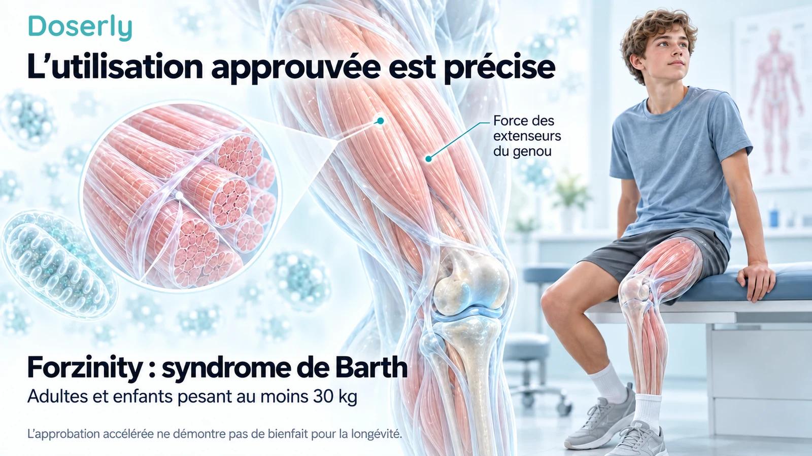 Schéma conceptuel de l’anatomie du quadriceps et du genou à côté d’une illustration clinique expliquant l’utilisation approuvée pour cette maladie précise.