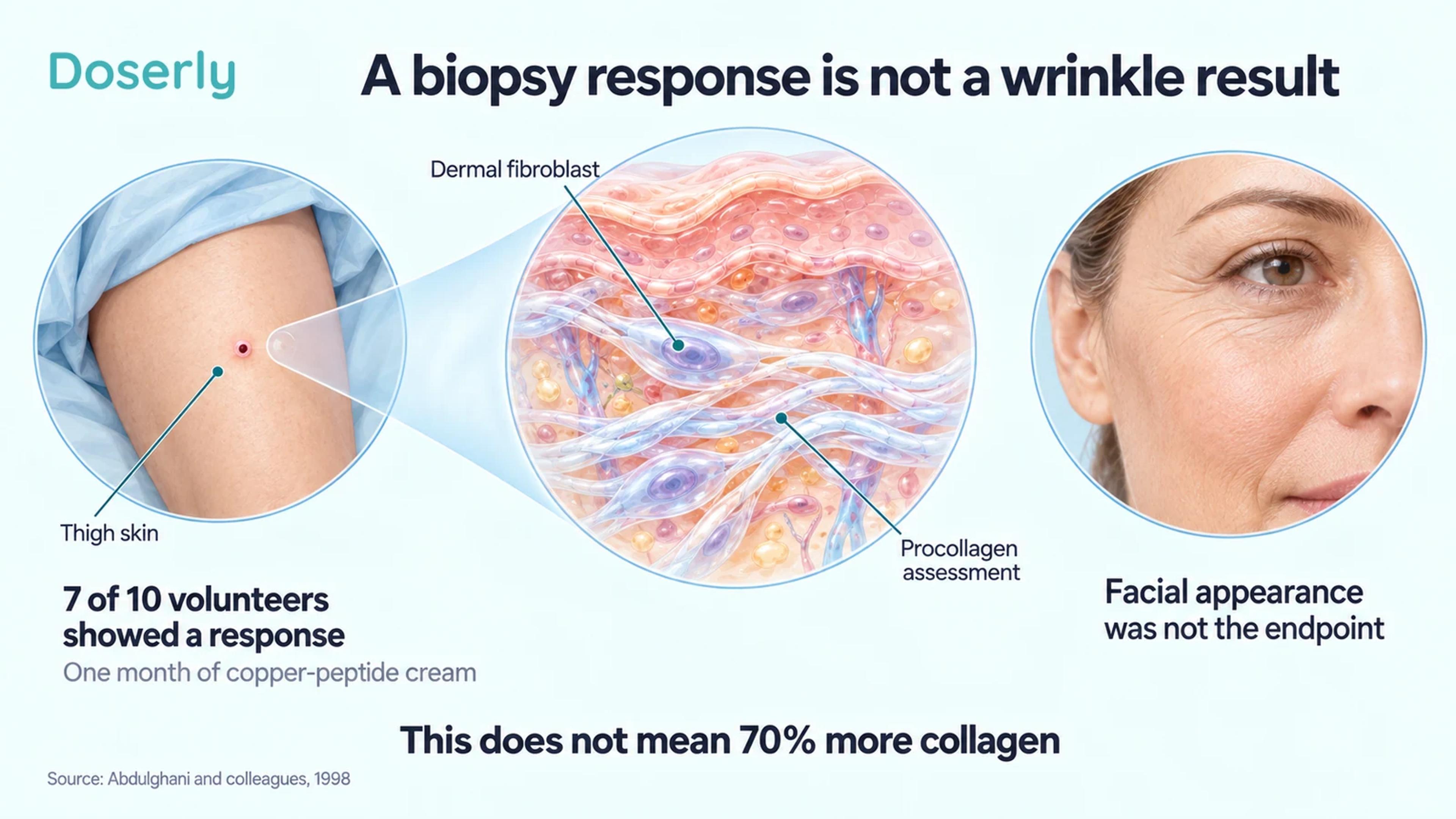 A thigh-skin sampling illustration beside dermal tissue and a separate face, explaining the biopsy study's endpoint.