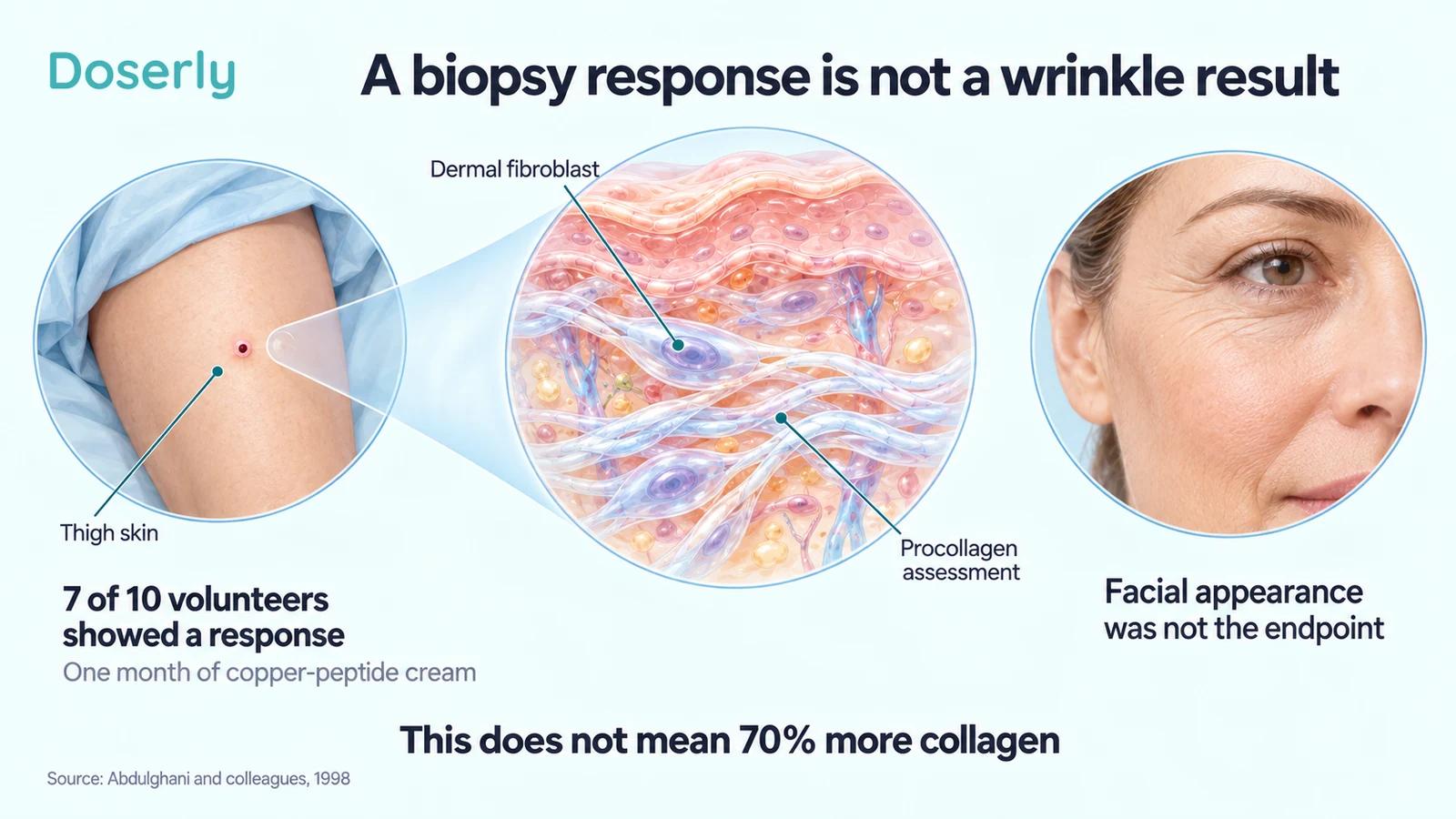 A thigh-skin sampling illustration beside dermal tissue and a separate face, explaining the biopsy study's endpoint.