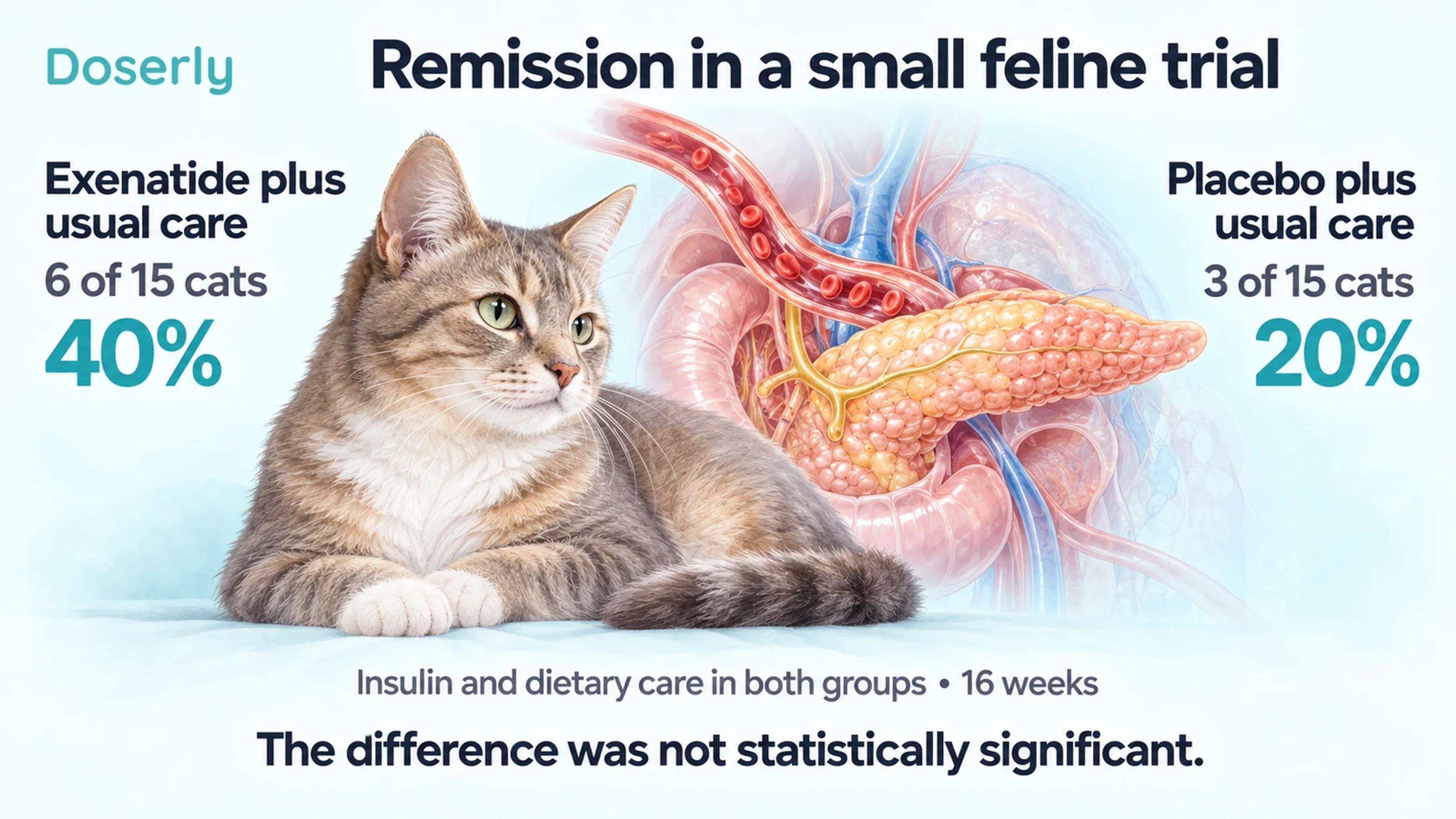 A cat and conceptual pancreatic anatomy accompany the observed remission counts: six of fifteen with exenatide and three of fifteen with placebo.