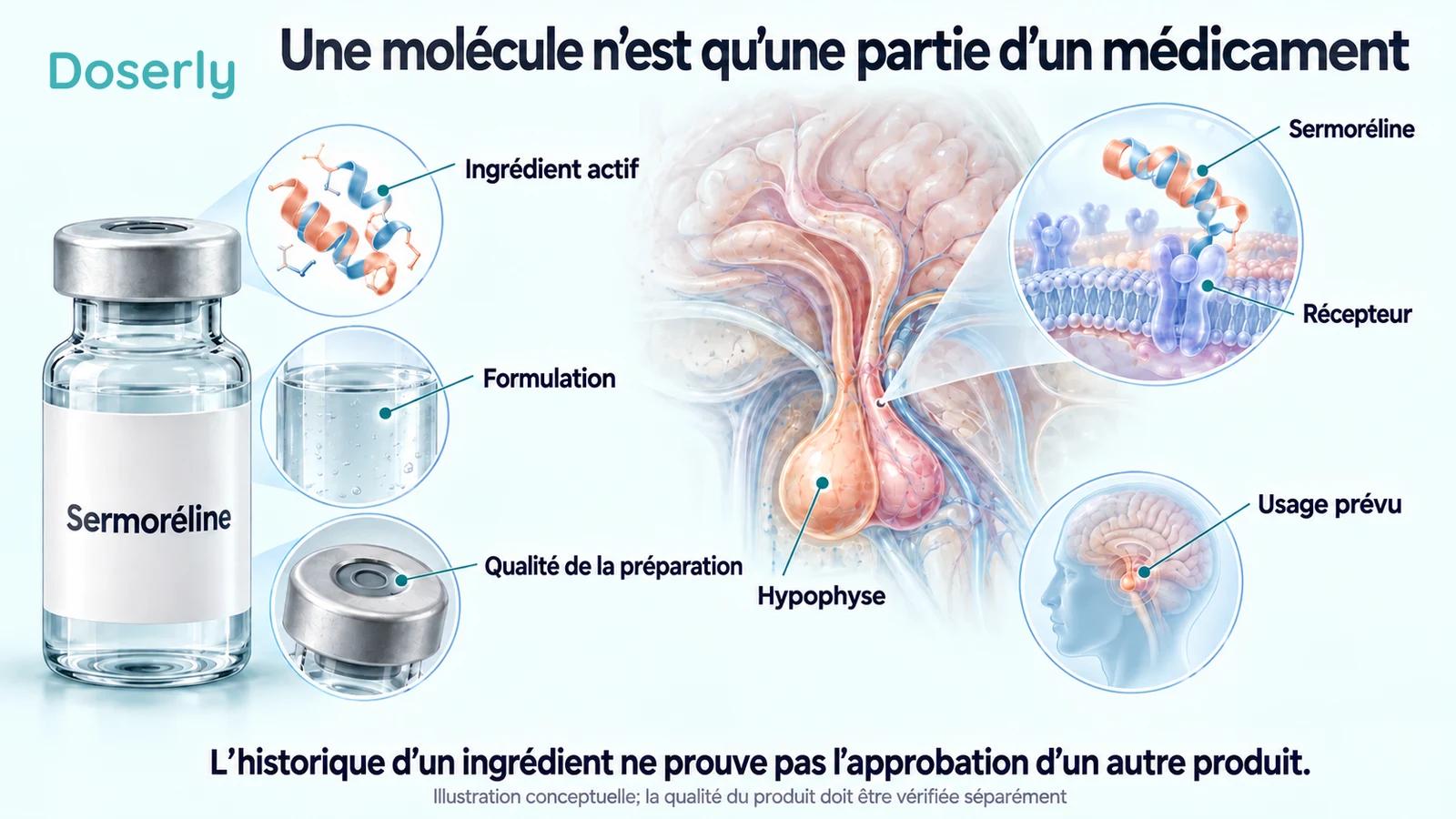 Illustration d’une fiole de médicament et de détails sur la formulation et le dispositif de fermeture, à côté de l’anatomie de l’hypophyse et d’un encadré conceptuel sur un récepteur.