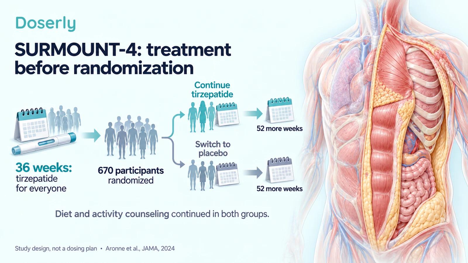 Illustrated calendar timeline shows 36 weeks of initial tirzepatide, randomization of 670 participants, and 52 more weeks of continuation or placebo beside neutral torso anatomy.