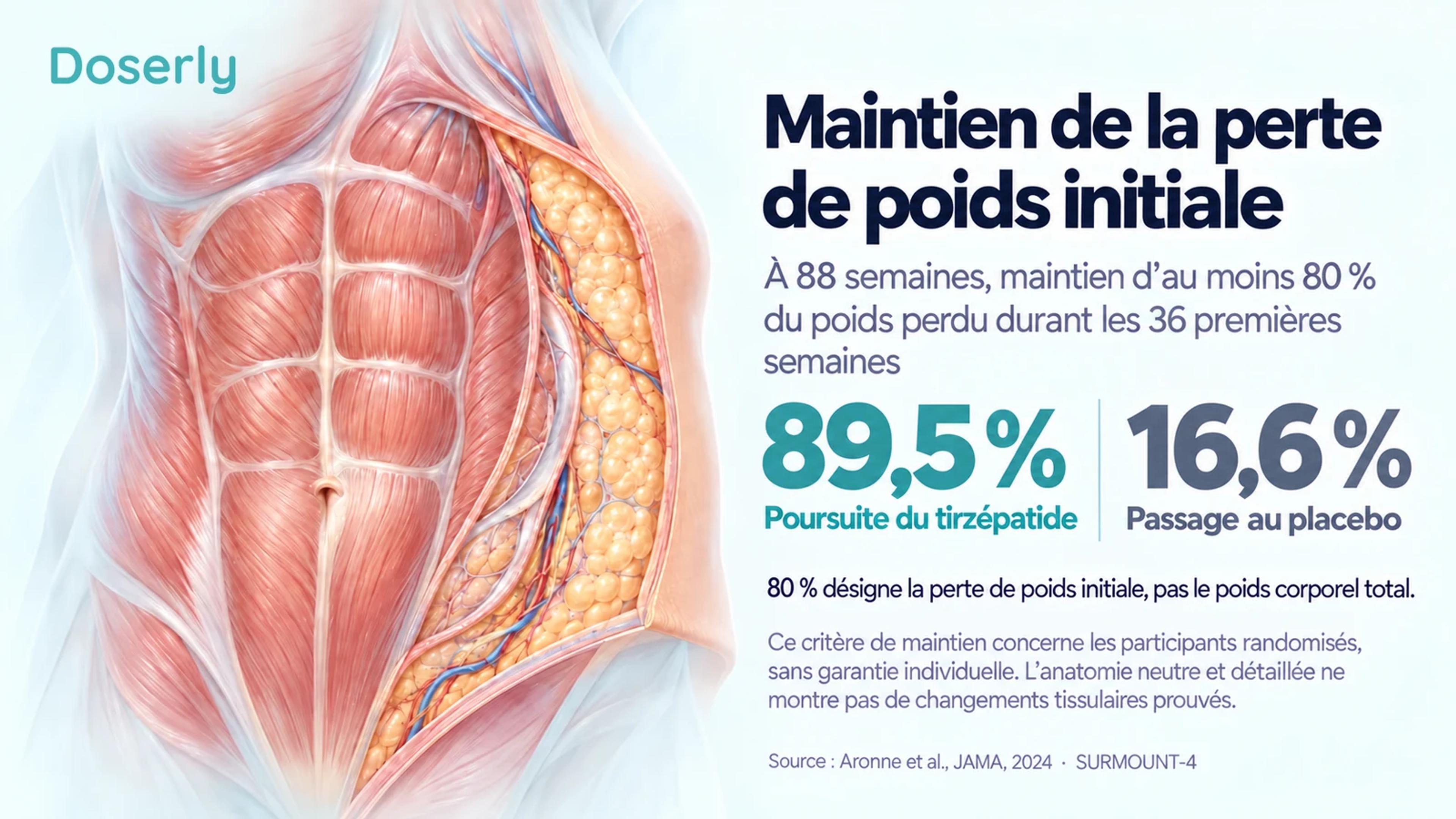 Une illustration neutre des tissus abdominaux accompagne le résultat de maintien de SURMOUNT-4 : 89,5 % avec la poursuite du tirzépatide et 16,6 % après le passage au placebo.
