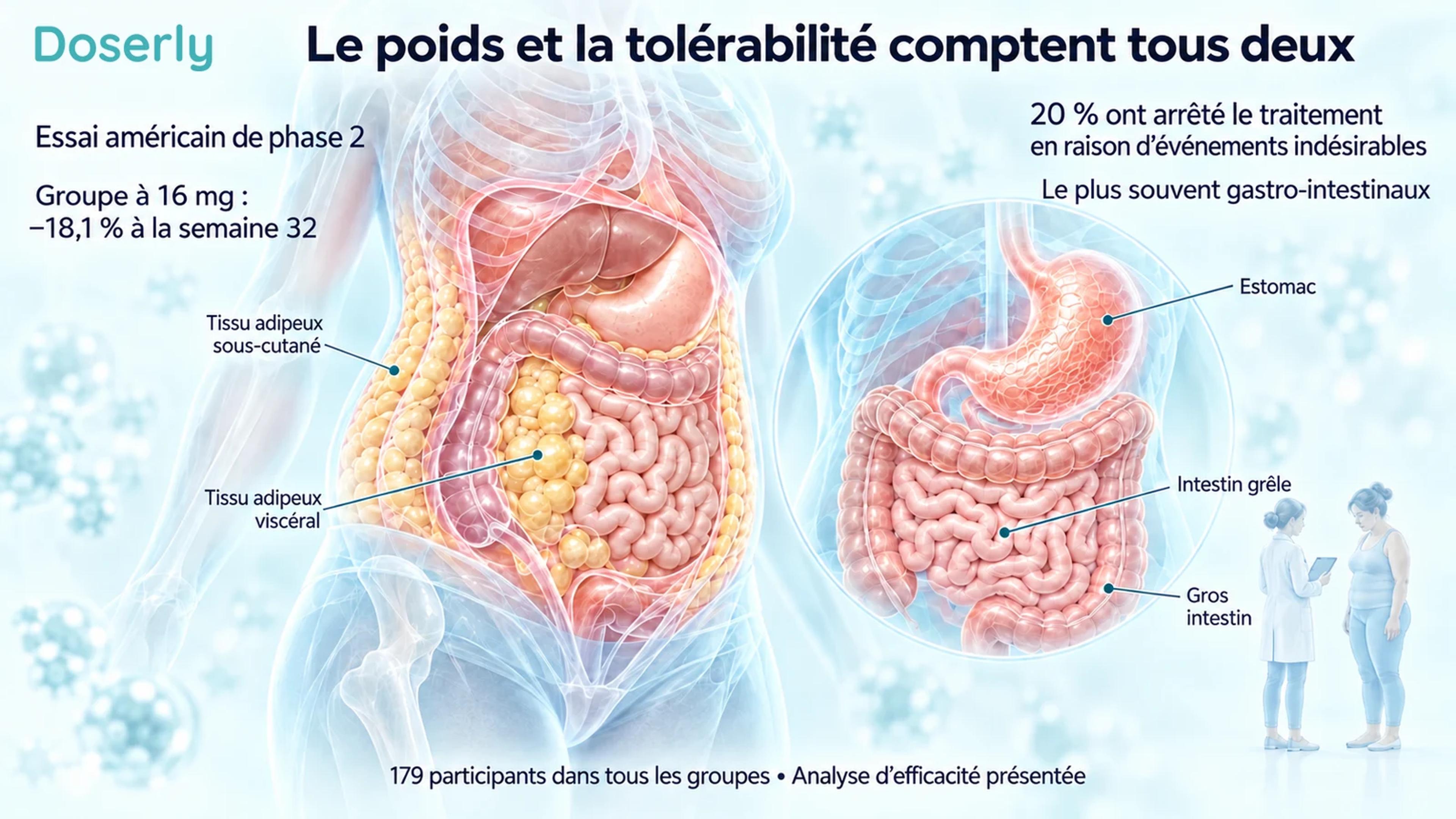 Des illustrations détaillées de la graisse abdominale et du système digestif accompagnent les résultats de l’étude américaine de phase 2 sur la variation du poids et les arrêts de traitement.