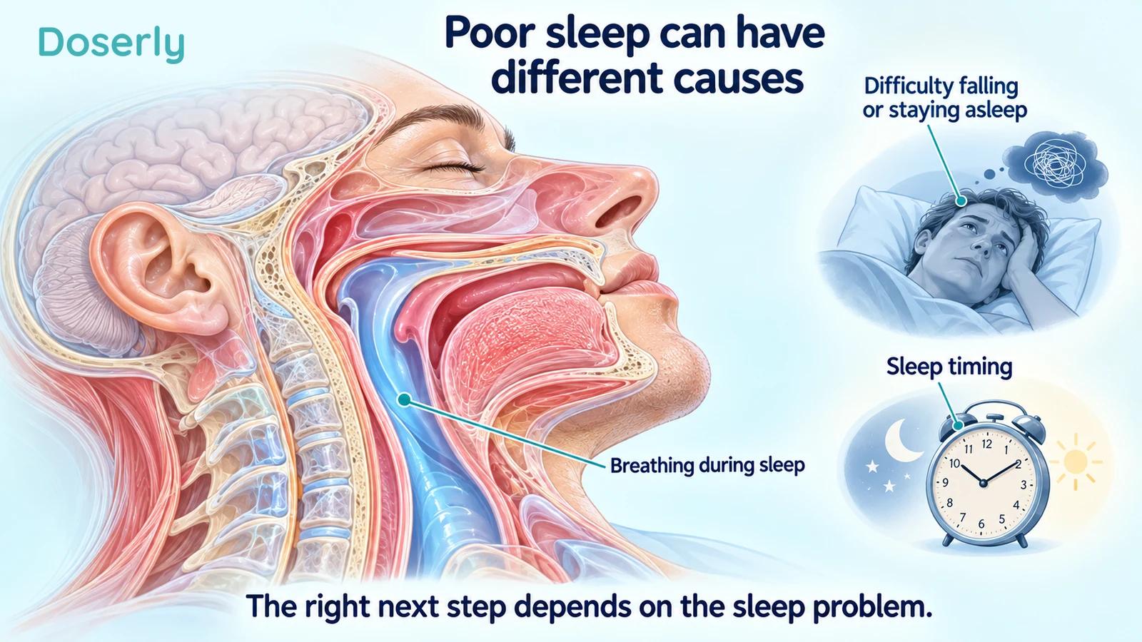 Detailed illustrated head and upper-airway cutaway beside a small sleepless-person vignette and clock, representing different sleep problems.
