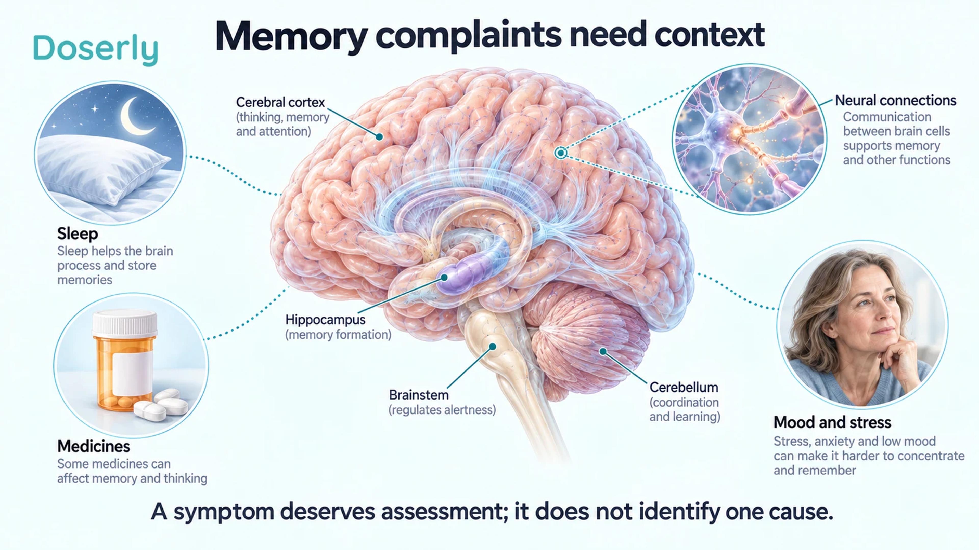 A conceptual brain illustration places memory-related anatomy alongside sleep, medicines, mood and stress as factors to discuss during assessment.