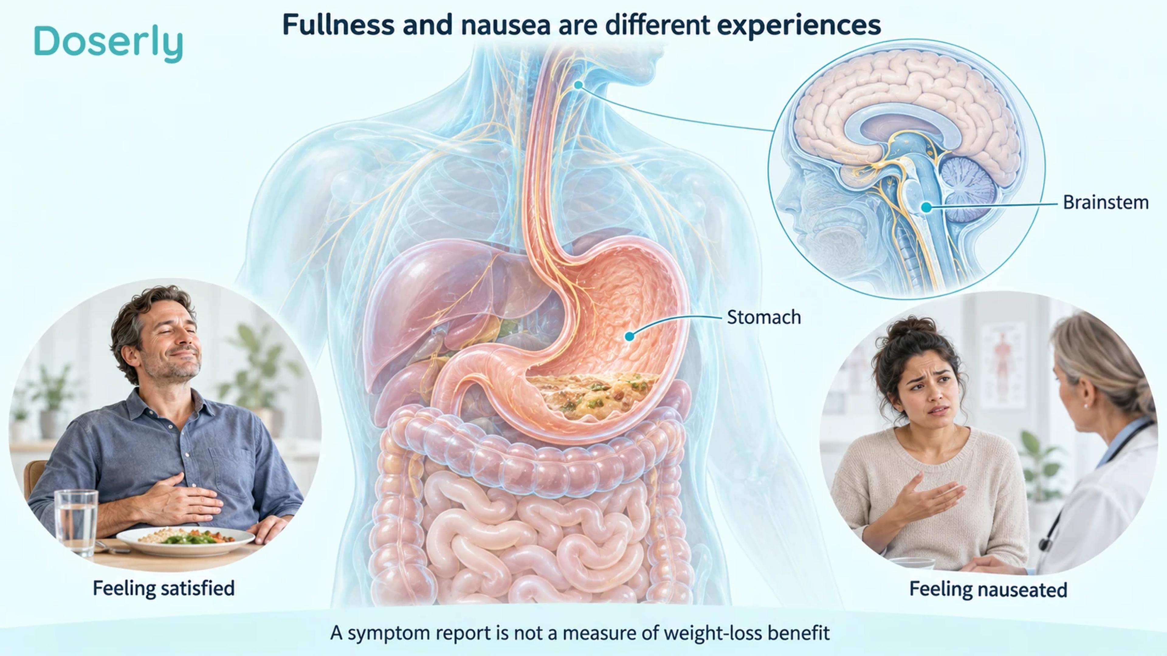Digestive and brainstem anatomy with separate scenes of fullness and nausea.