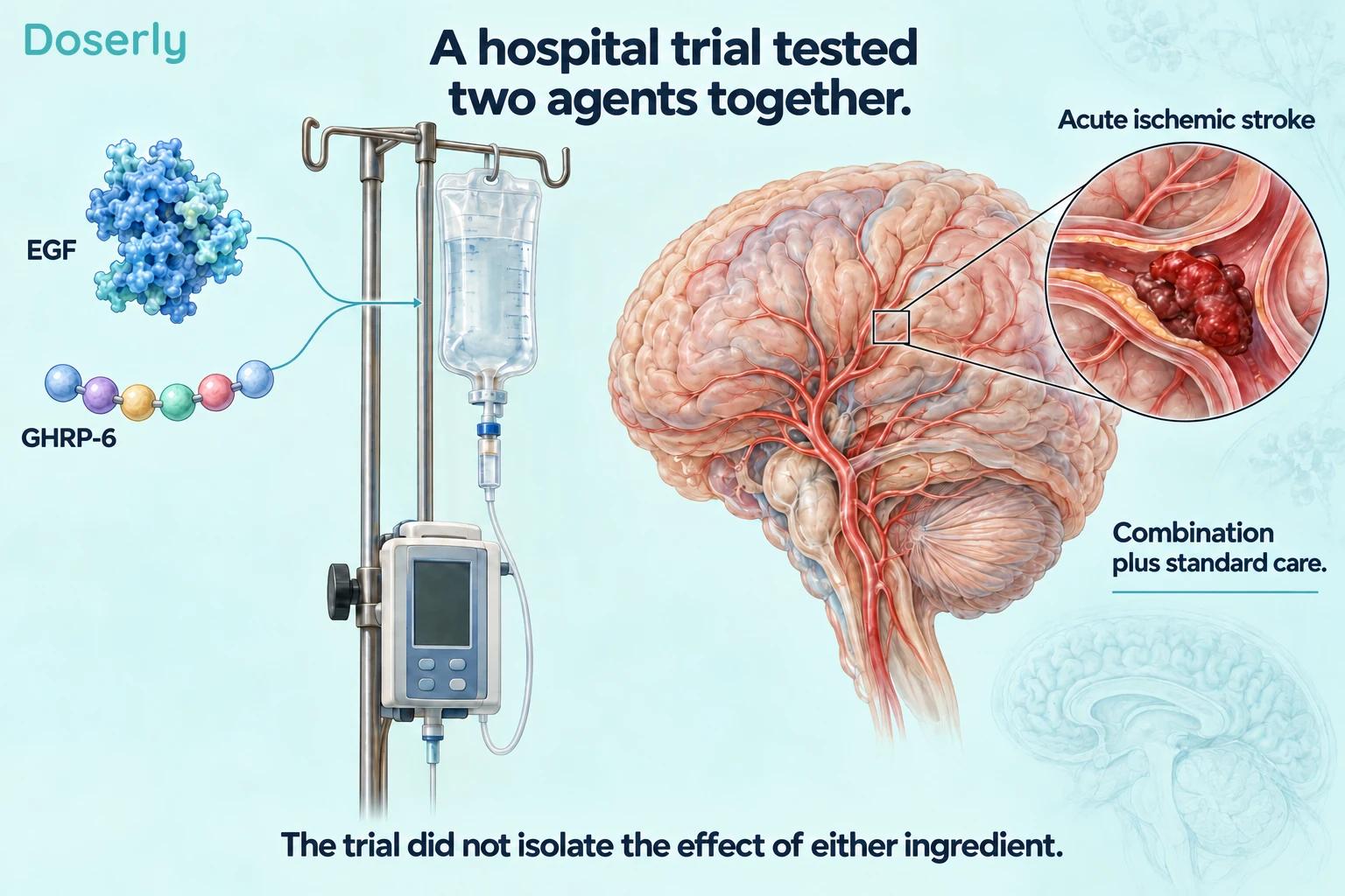 Illustrated EGF protein and six-bead GHRP-6 peptide beside intravenous equipment, a brain and an enlarged artery containing a clot