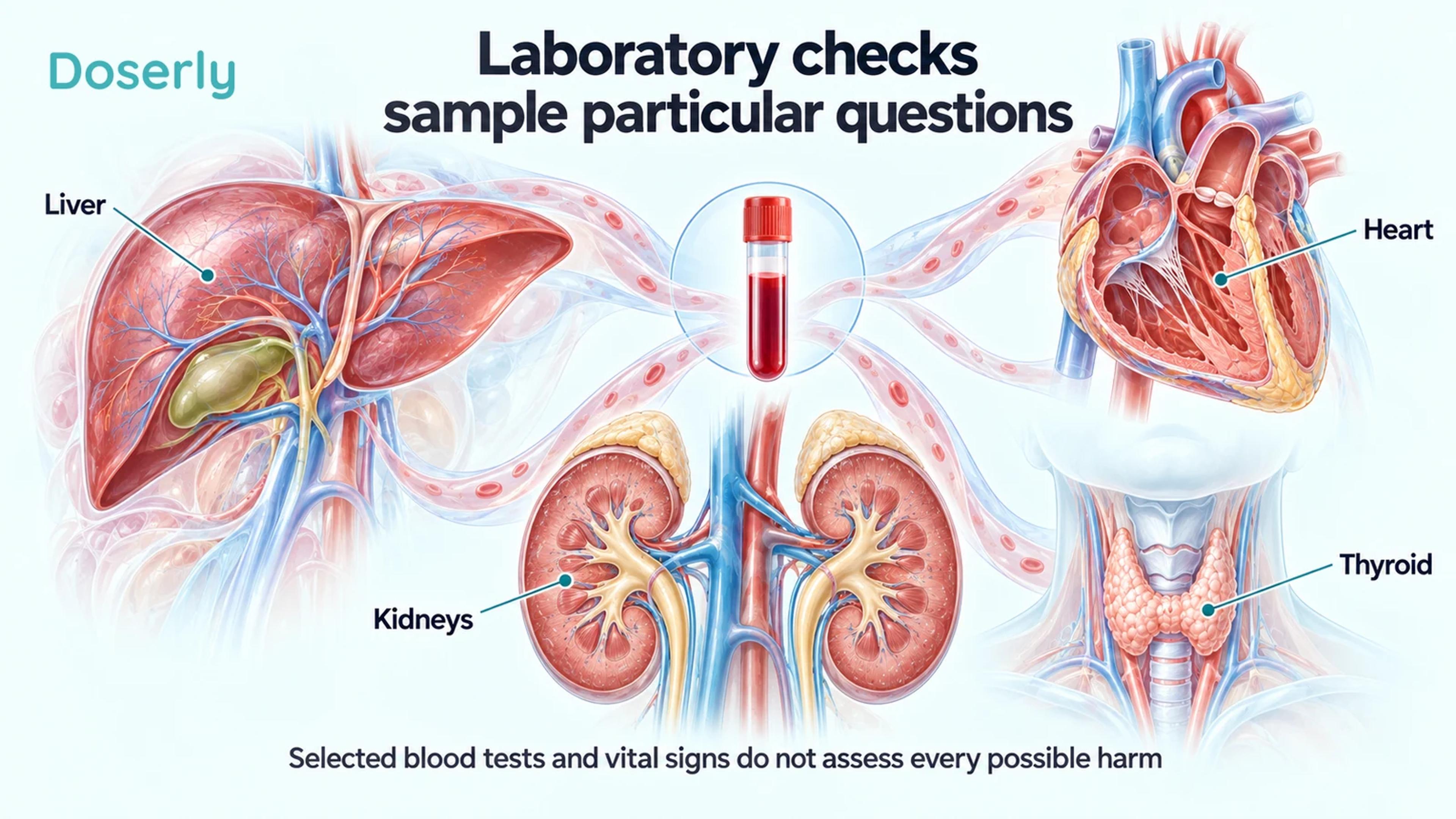 Medical atlas illustrations of liver, kidneys, heart and thyroid surround a blood sample, showing the limited scope of selected laboratory checks.