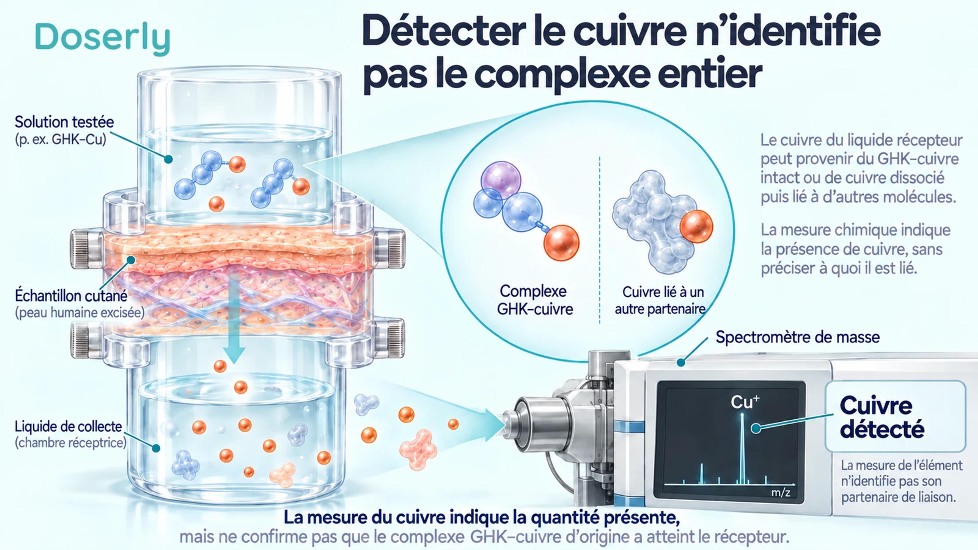 Chambre de diffusion en laboratoire et analyse du cuivre montrant pourquoi la détection d’un élément n’identifie pas son partenaire de liaison moléculaire