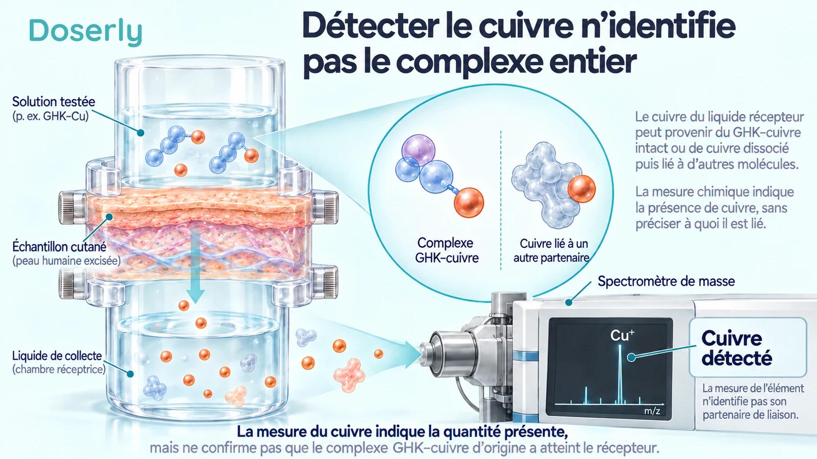 Chambre de diffusion en laboratoire et analyse du cuivre montrant pourquoi la détection d’un élément n’identifie pas son partenaire de liaison moléculaire