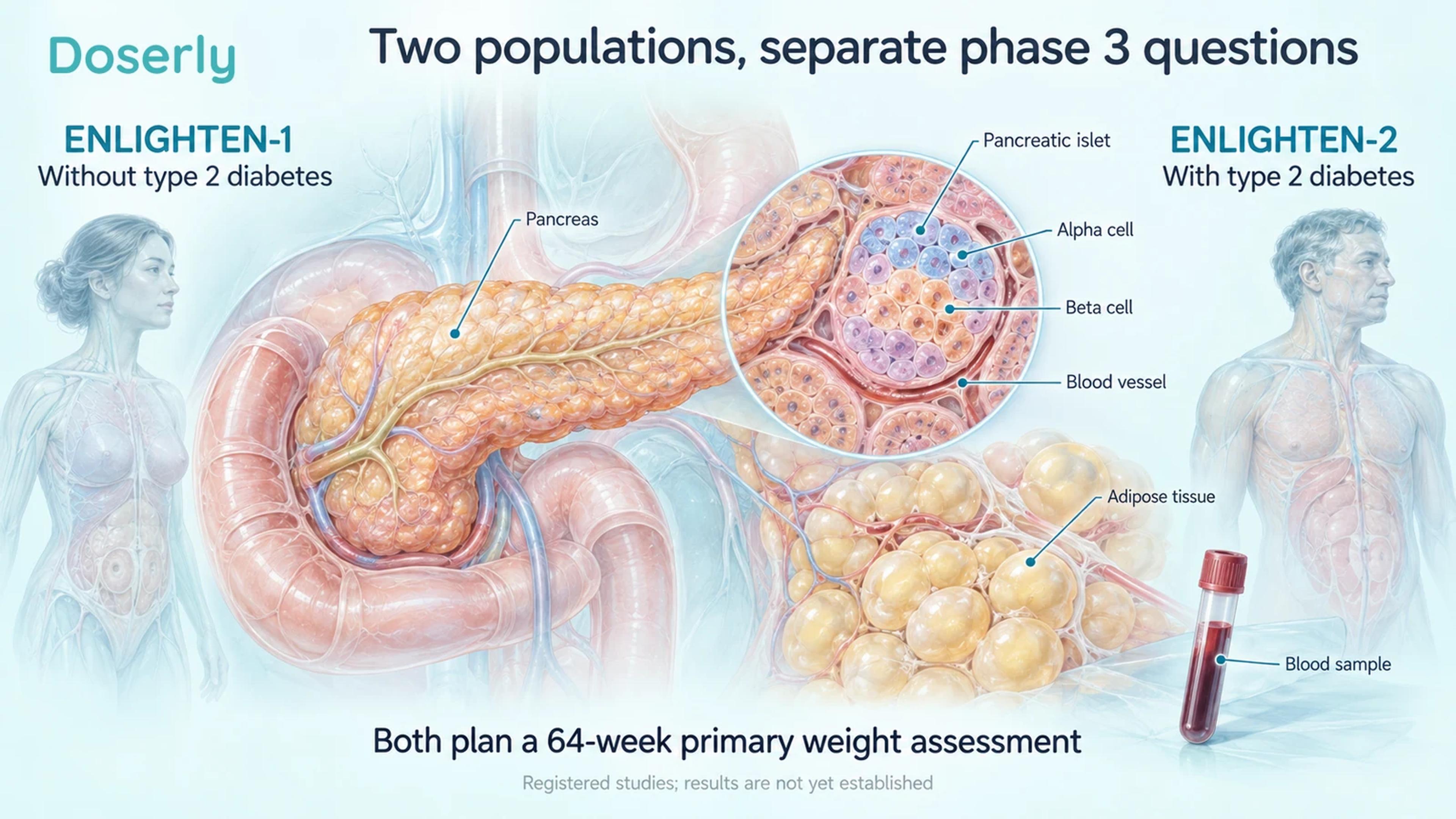 Pancreatic and fat-tissue anatomy accompanies the separate ENLIGHTEN populations.