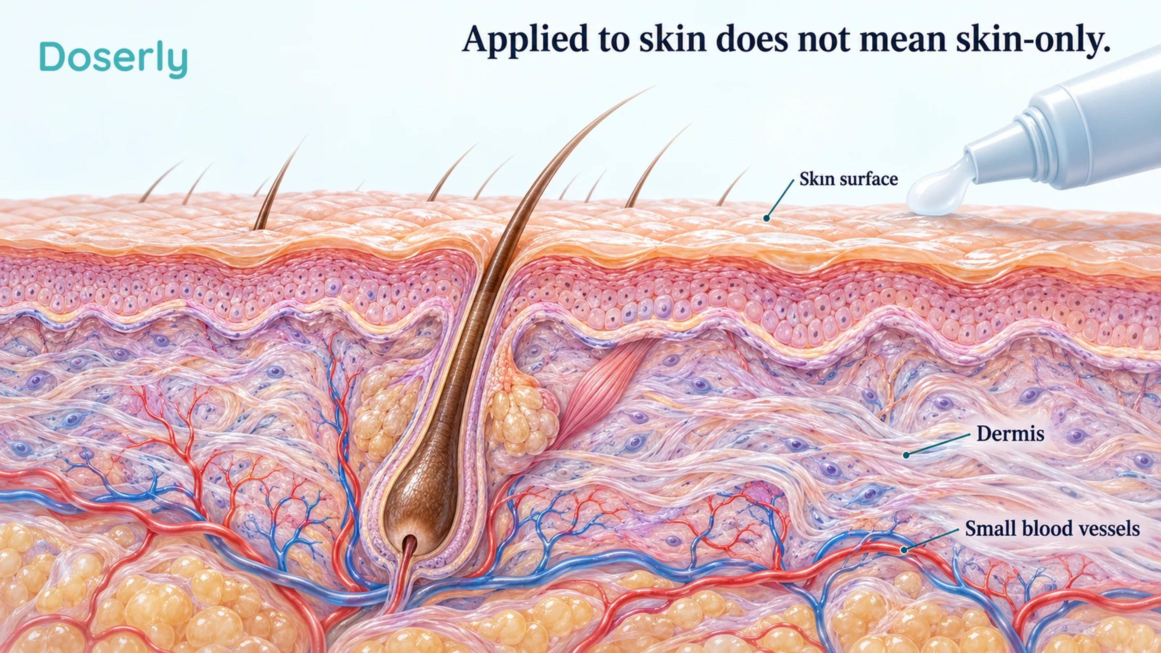 Conceptual skin cross-section beneath an unbranded topical applicator, with small vessels shown beneath the epidermis.