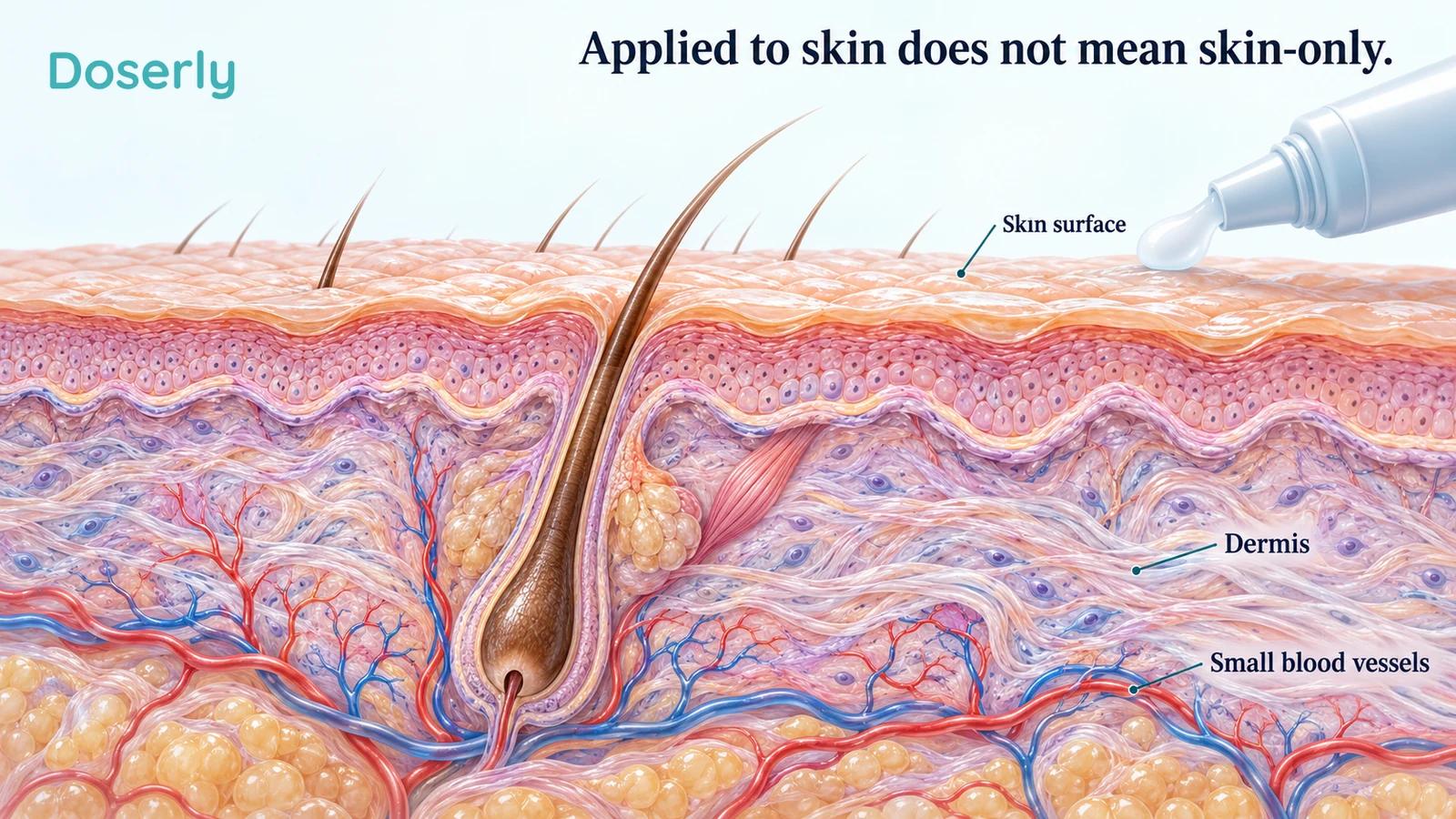 Conceptual skin cross-section beneath an unbranded topical applicator, with small vessels shown beneath the epidermis.