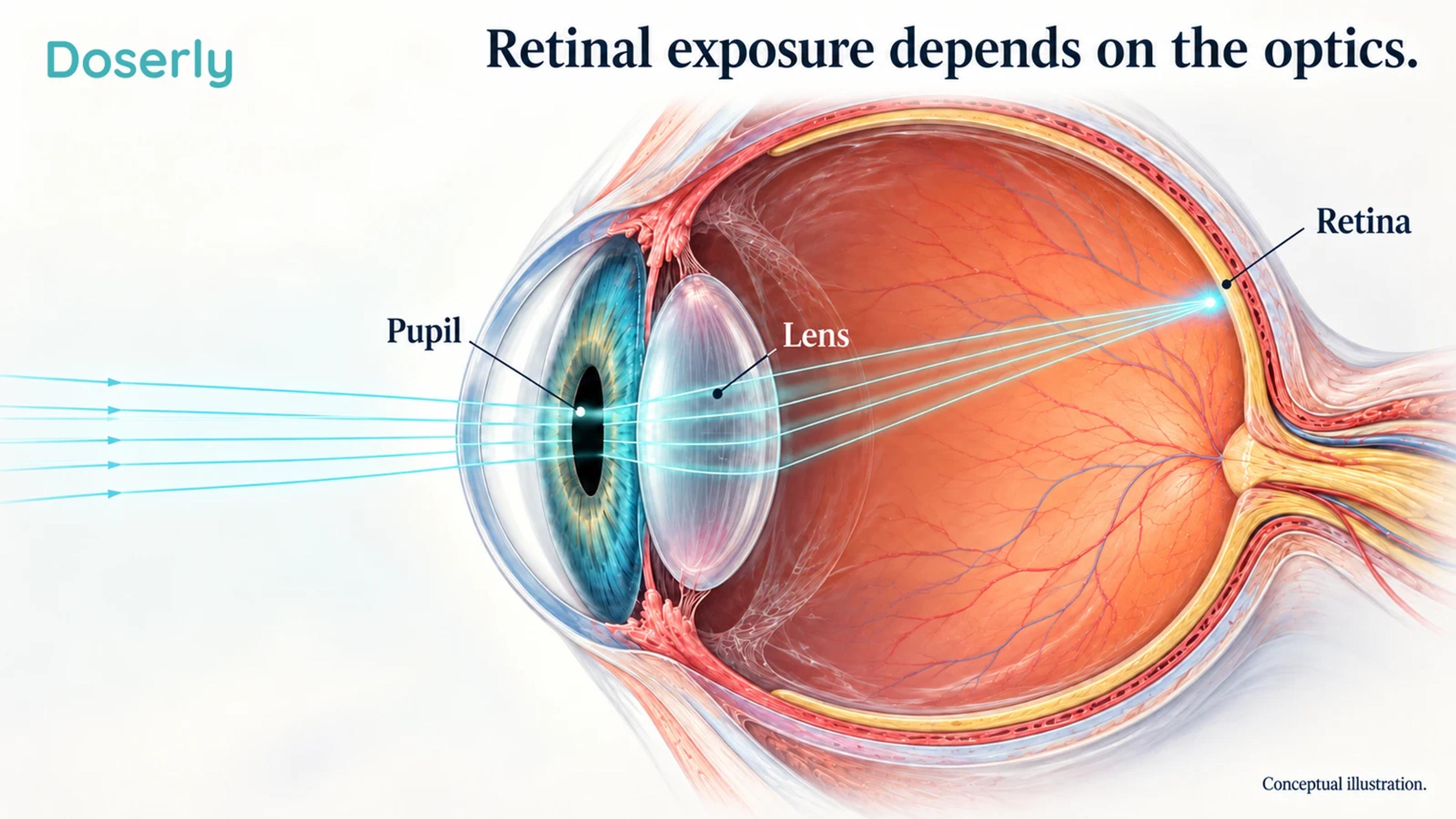 A conceptual eye cutaway shows how the pupil and lens shape light reaching a small retinal area.