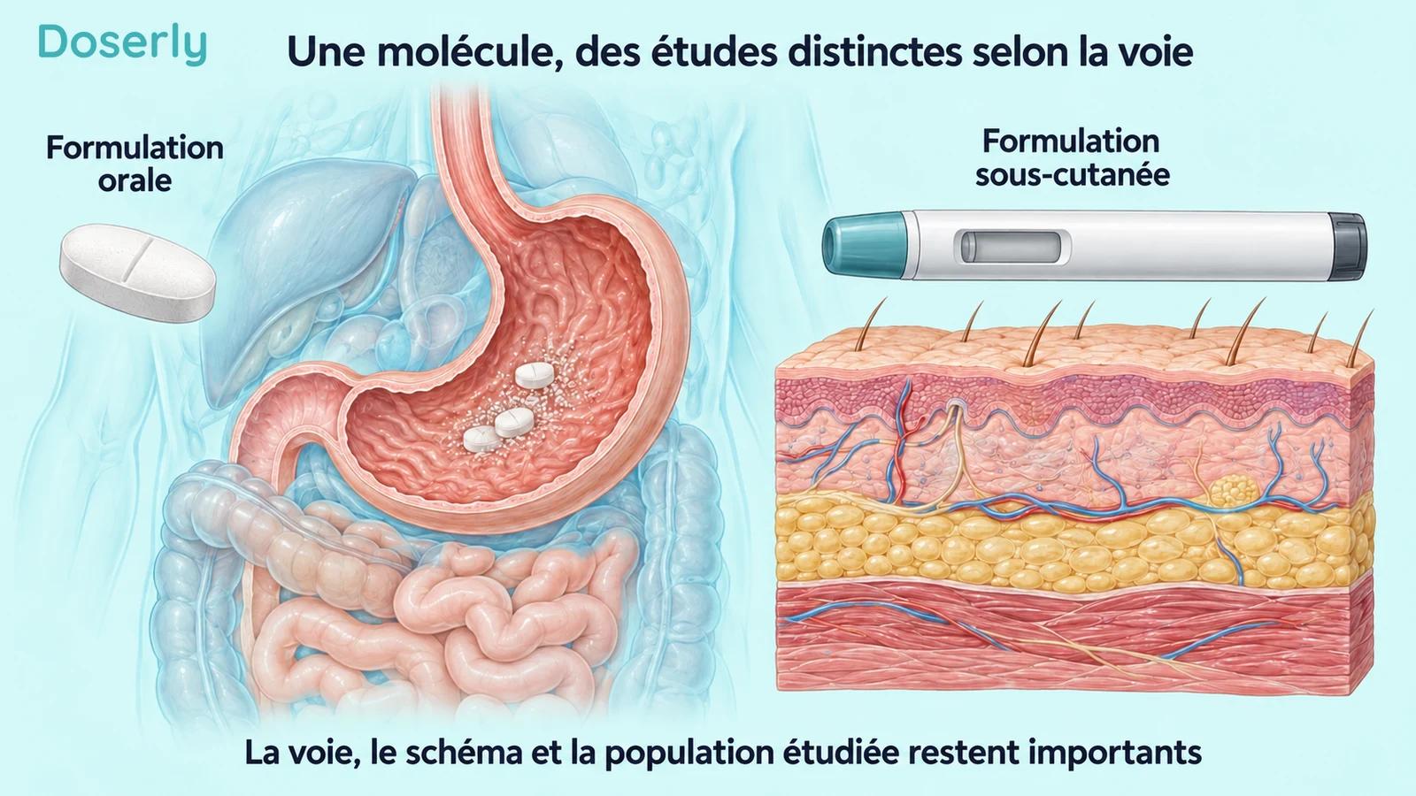 Représentation conceptuelle d’un comprimé et d’un estomac, à côté d’un stylo d’injection générique fermé et d’une coupe de la peau.
