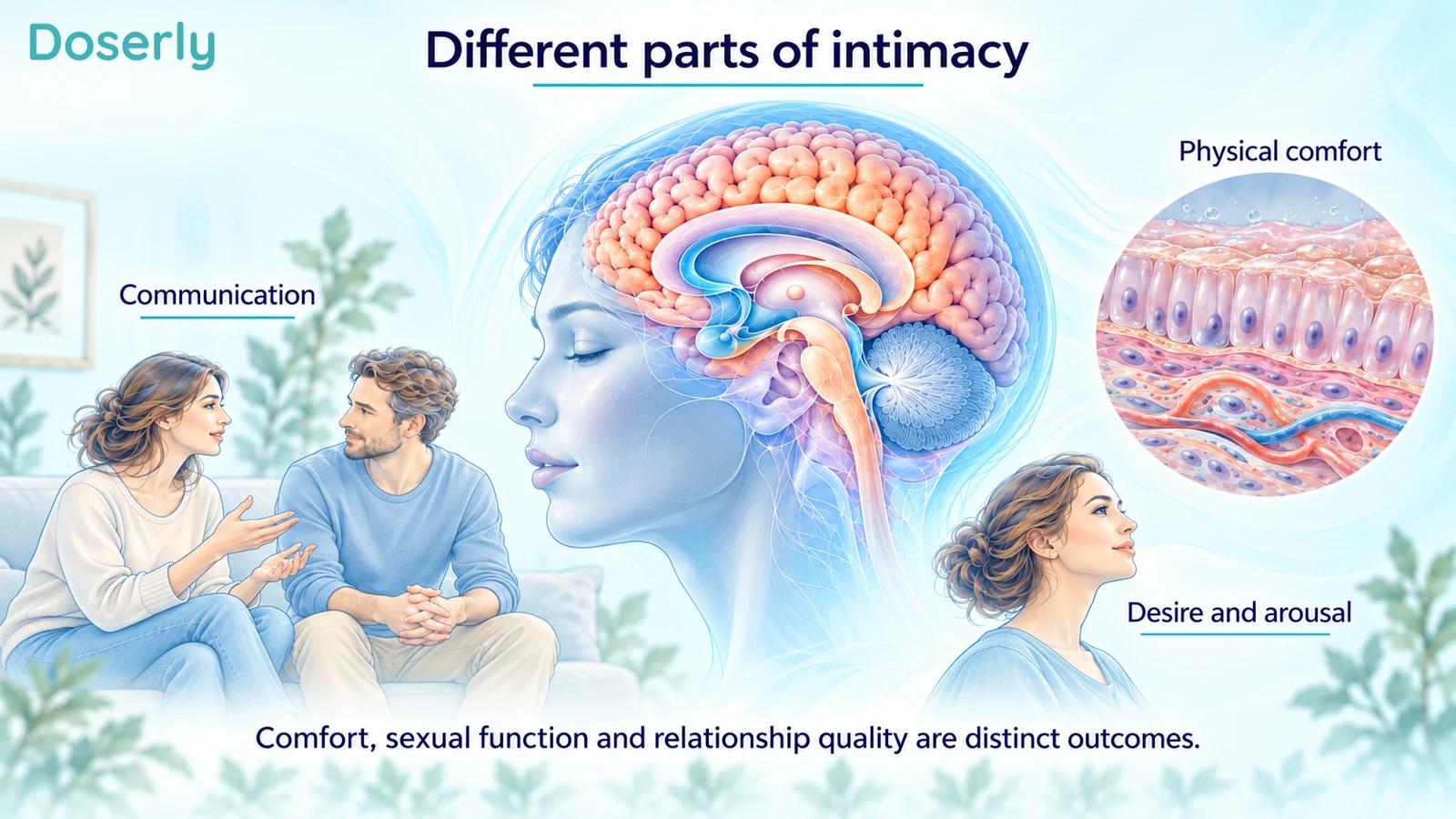 Illustrated conversation, detailed brain anatomy and a conceptual epithelial tissue inset distinguish intimacy-related outcomes.