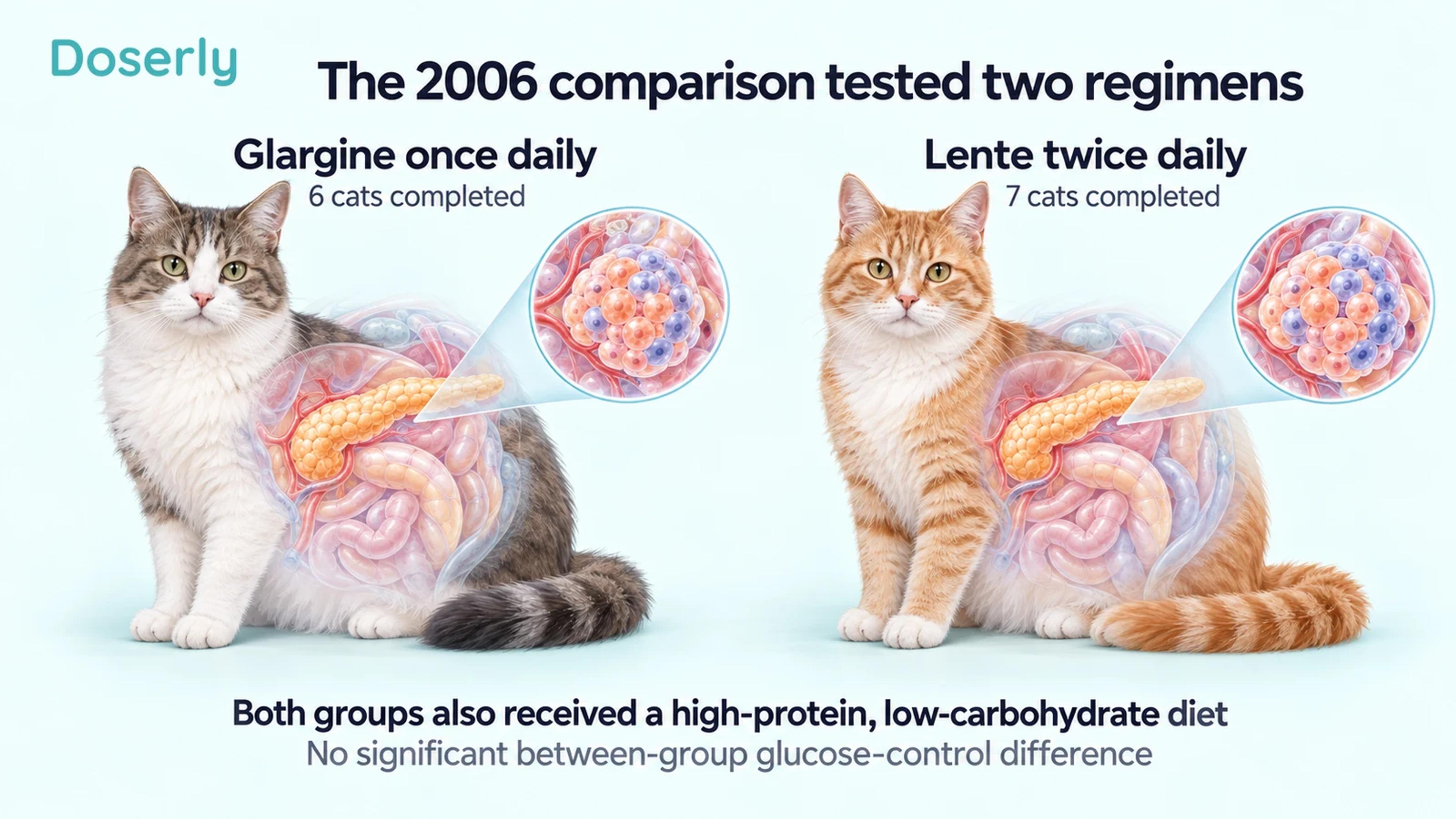 Two illustrated cats with pancreatic insets identify the historical comparison: six glargine completers and seven lente completers using different dosing intervals.