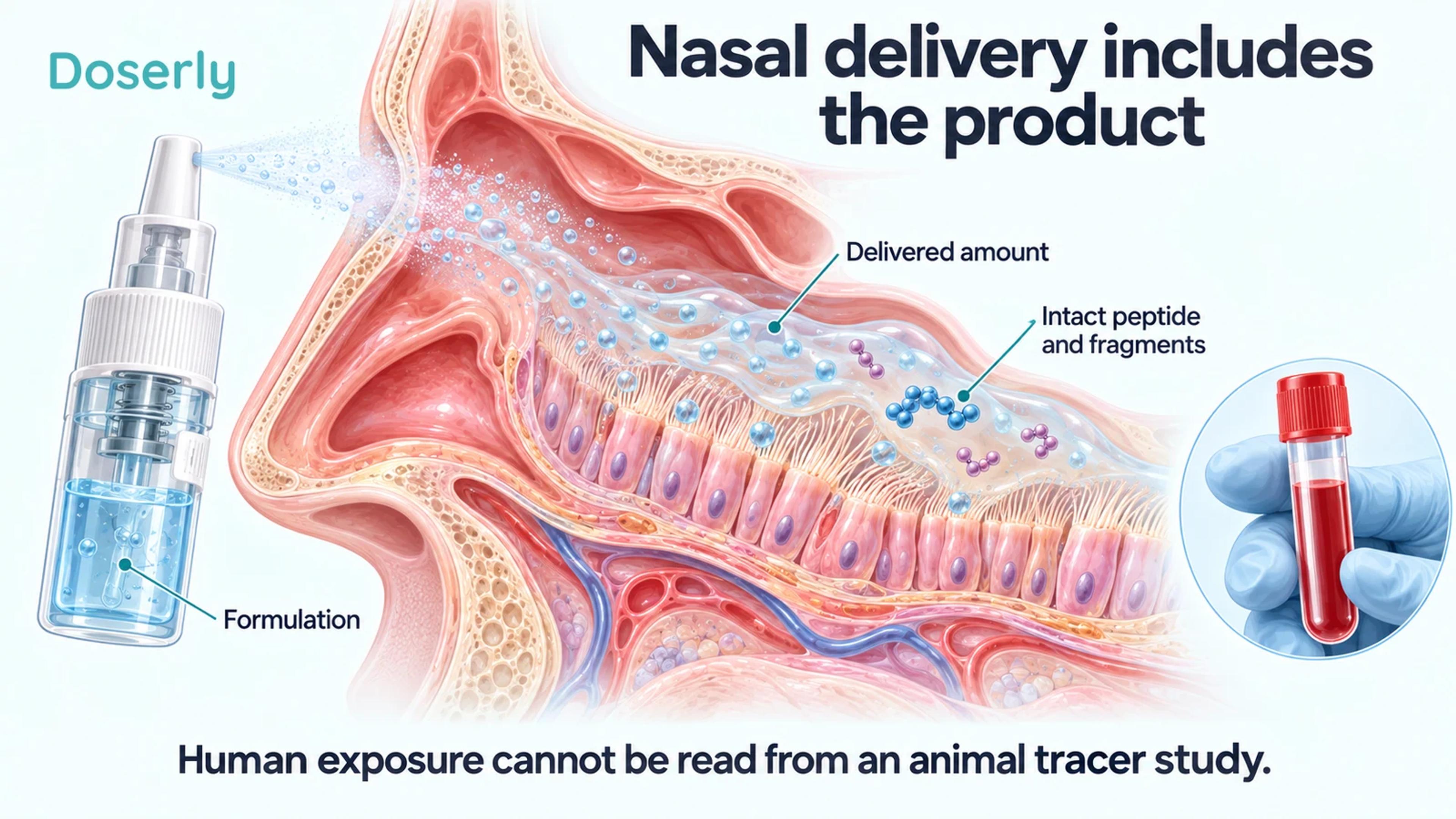 A nasal lining cutaway, spray device and separate blood sample illustrate formulation, delivery and peptide fragments.