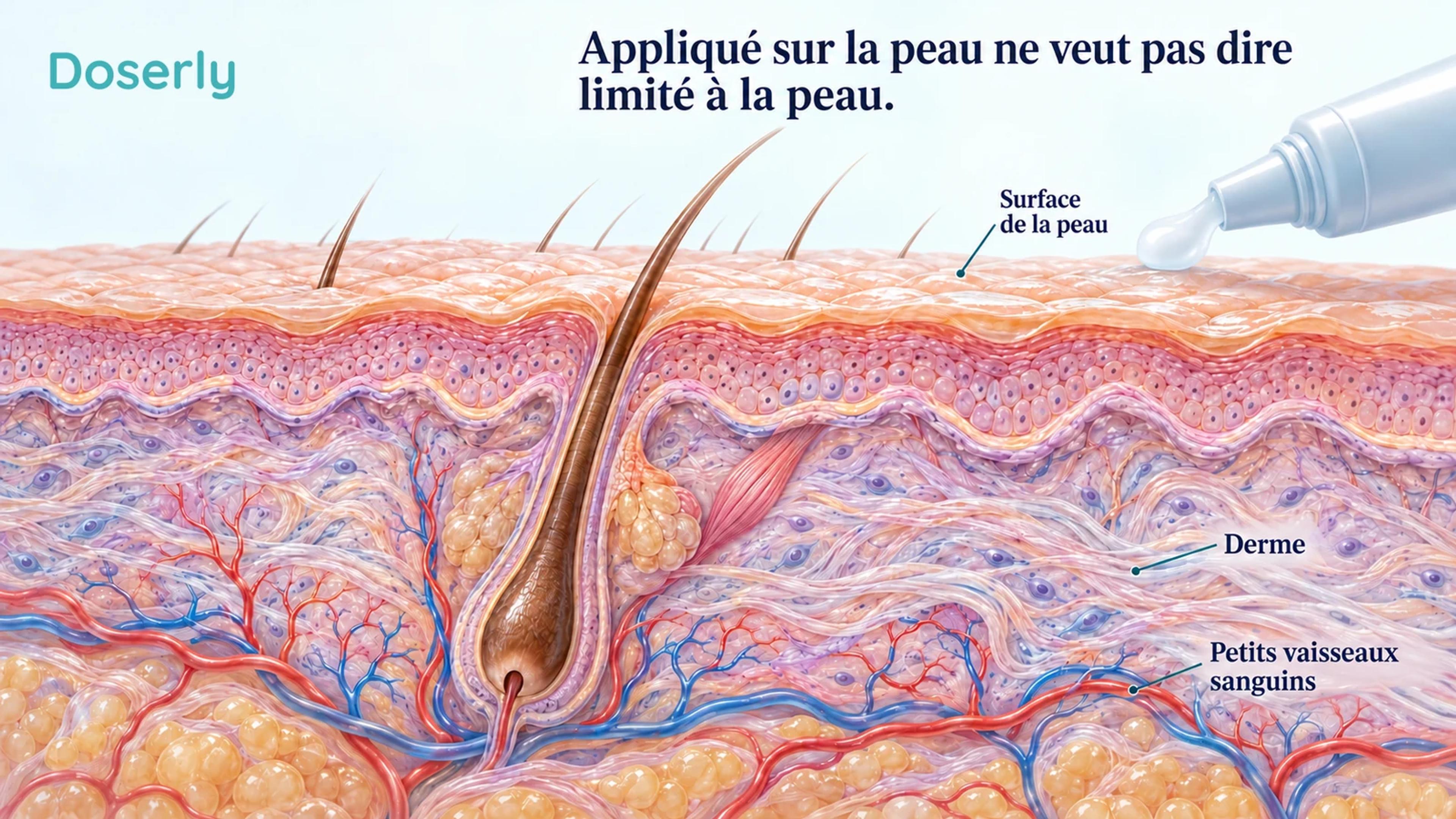 Coupe conceptuelle de la peau sous un applicateur topique sans marque, montrant de petits vaisseaux sous l’épiderme.