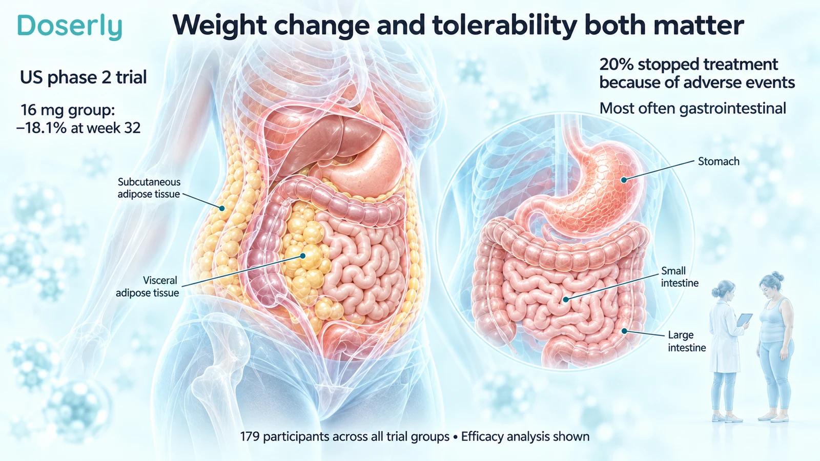 Detailed abdominal fat and digestive-system illustrations accompany the US phase 2 weight-change and discontinuation findings.
