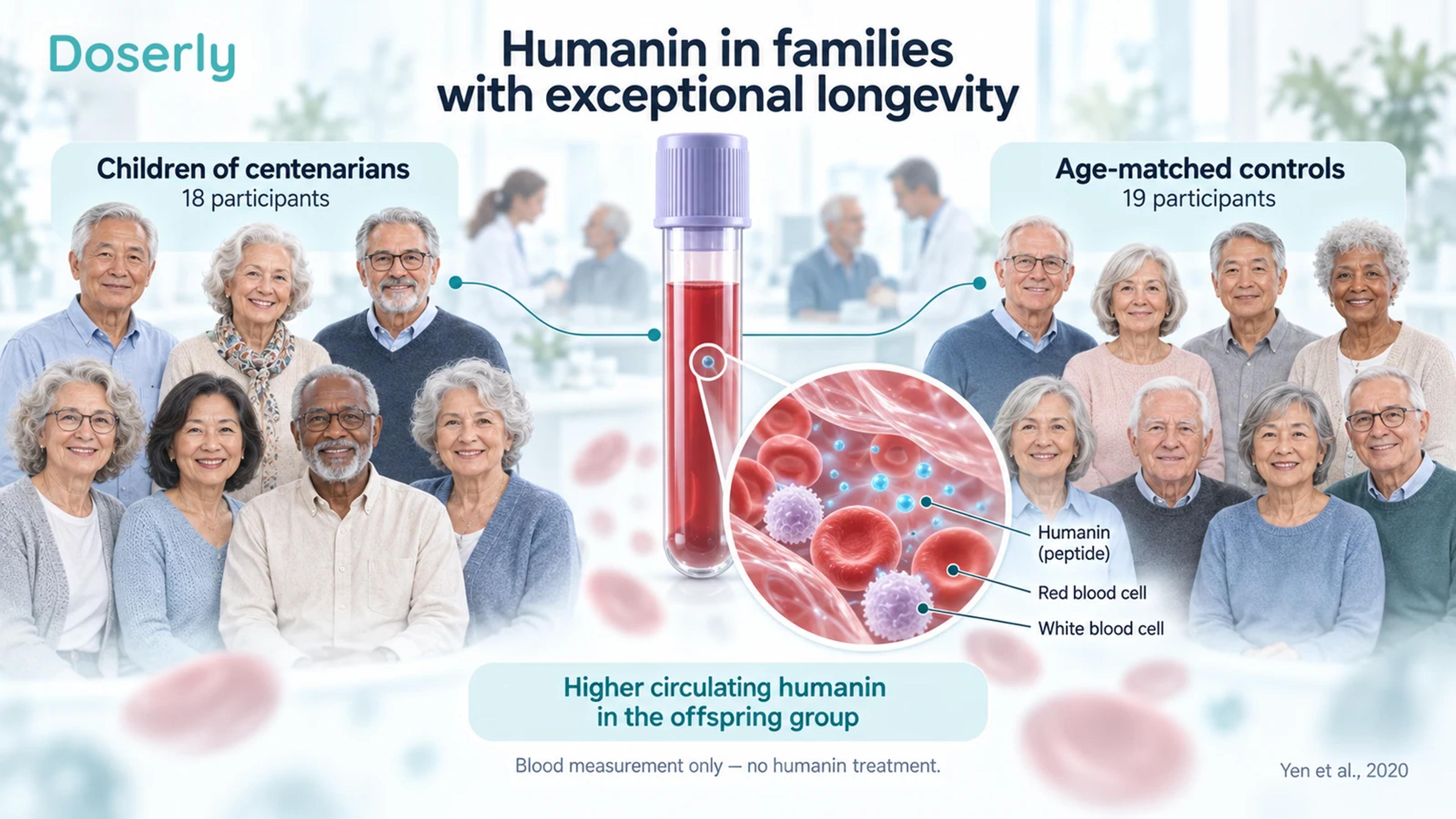 Illustrated groups representing centenarians’ children and age-matched controls flank a blood sample and enlarged blood cells.