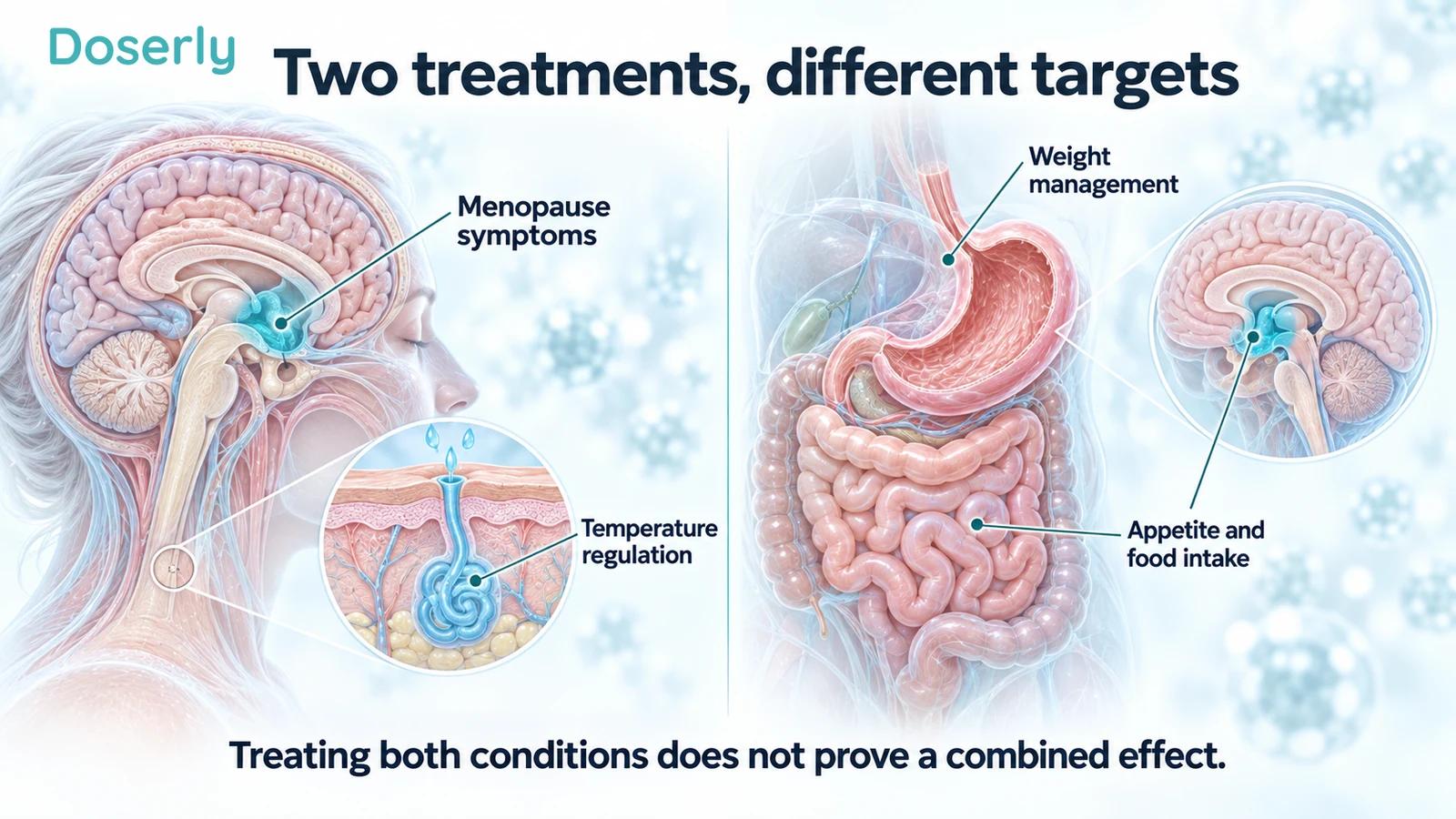Separate illustrations of brain and skin temperature regulation and the digestive tract with appetite-related brain signaling.