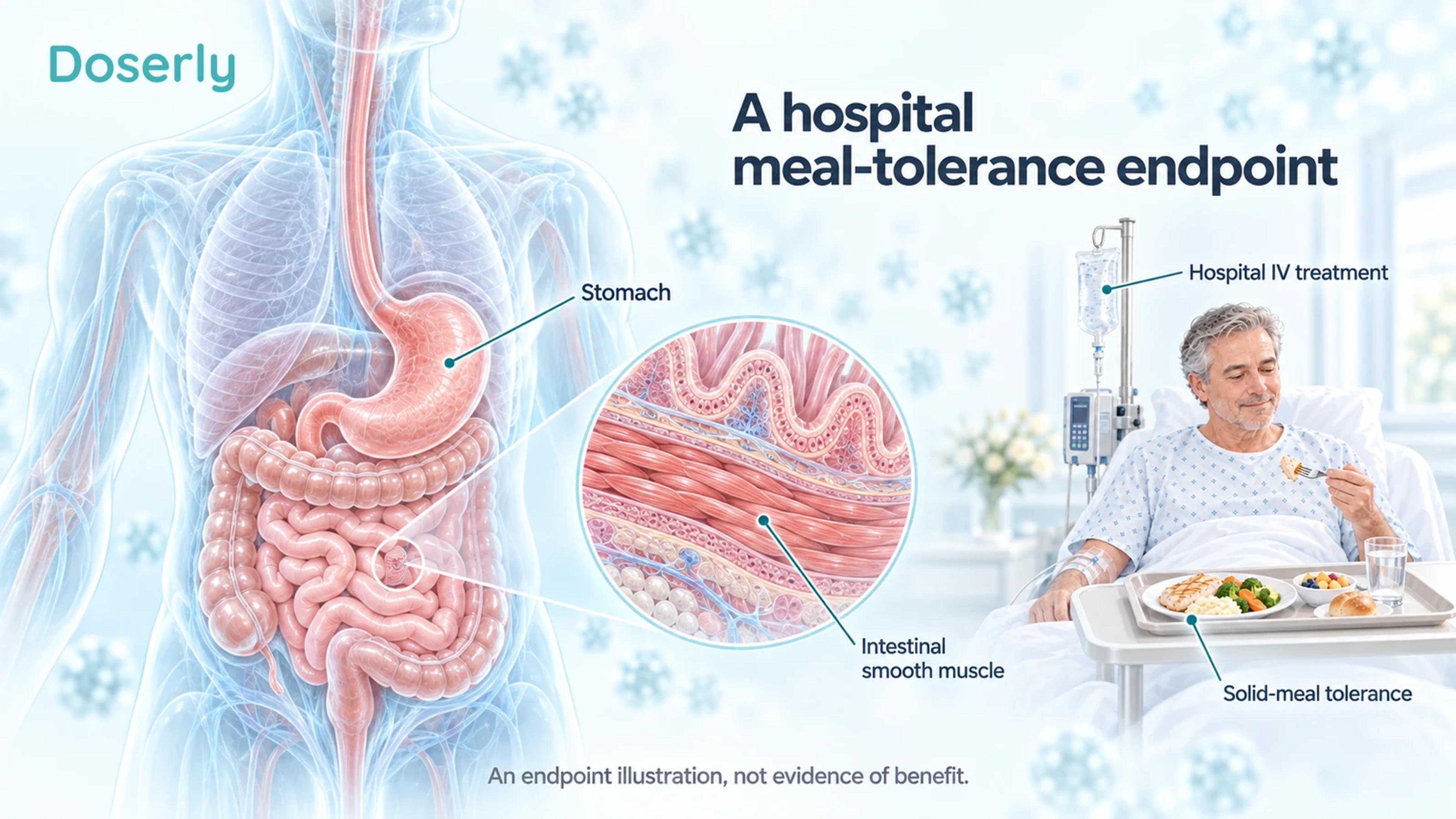 A translucent gastrointestinal tract and magnified intestinal smooth muscle accompany a small hospital vignette of an intravenous line and solid meal.