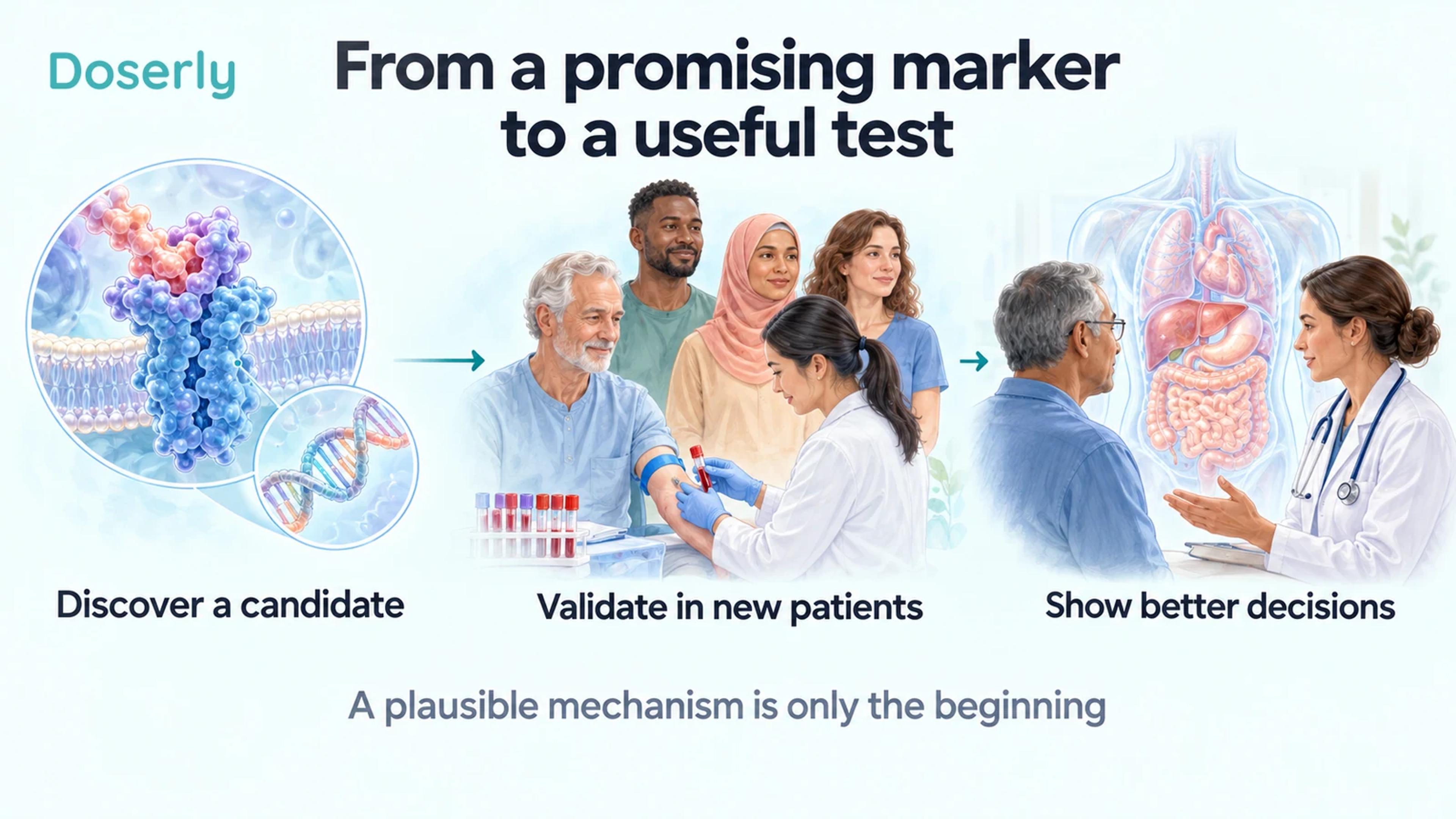Illustrated discovery, validation and clinical discussion show the steps from a candidate marker to a useful test