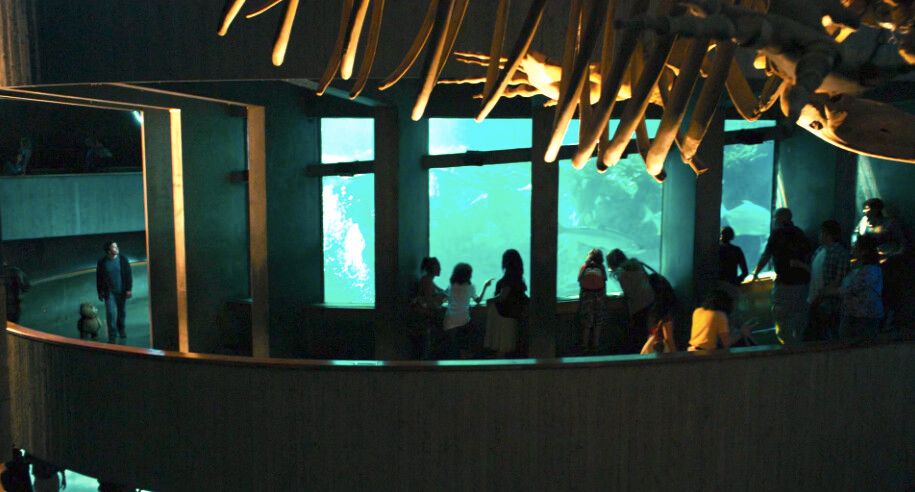 Boston Aquarium