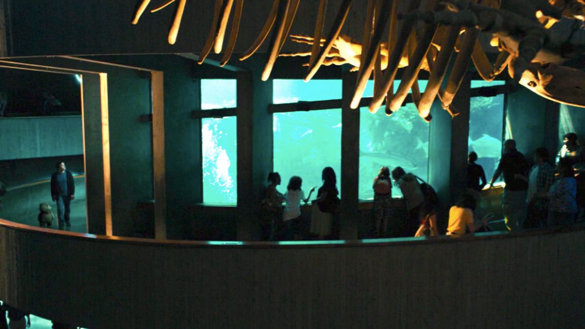 Boston Aquarium