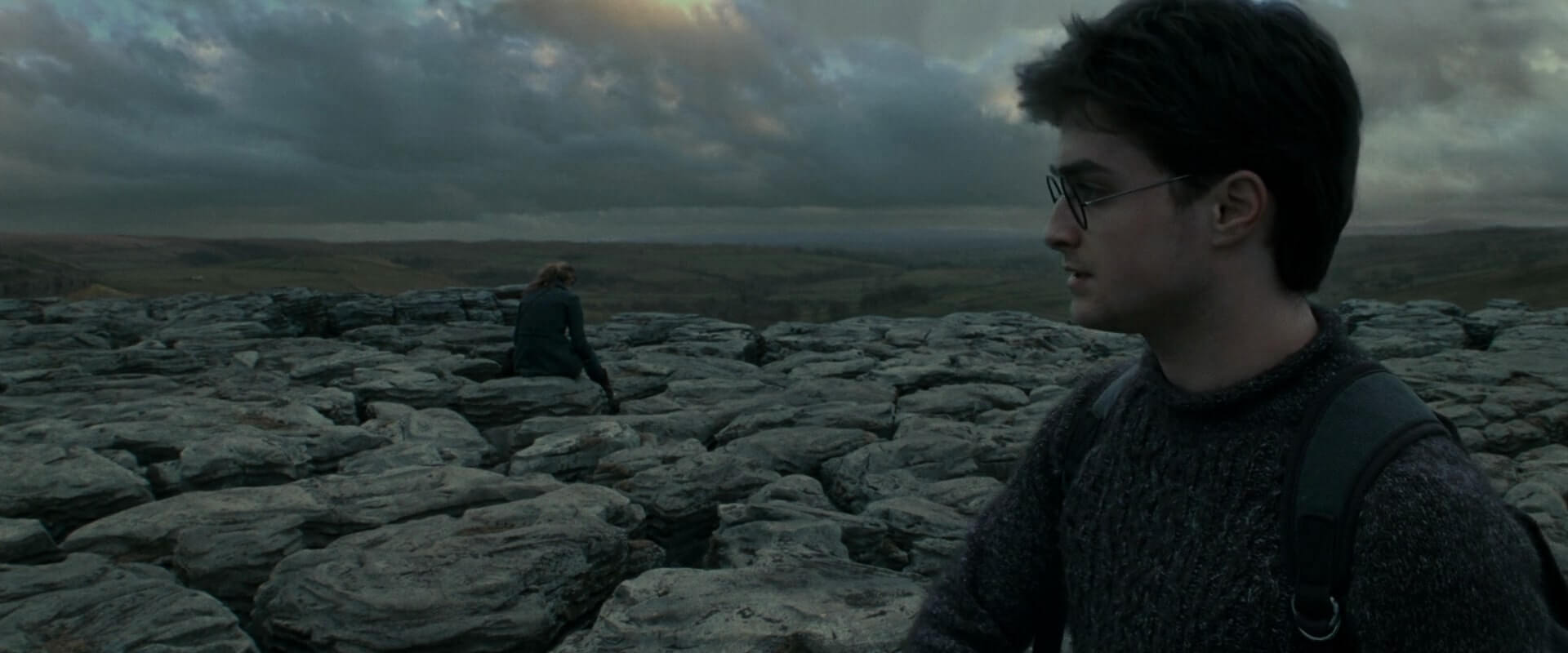 Harry and Hermione's camp