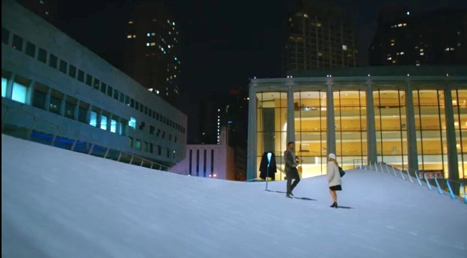 Rooftop Lawn