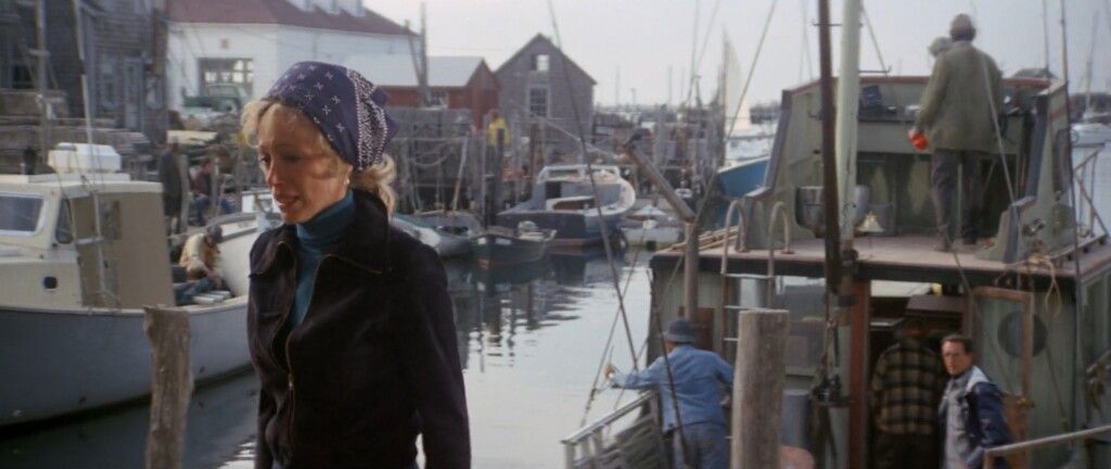 Amity Island