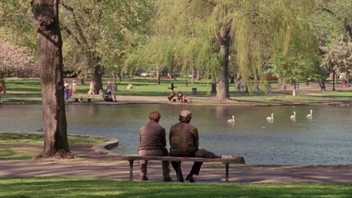 Boston Park