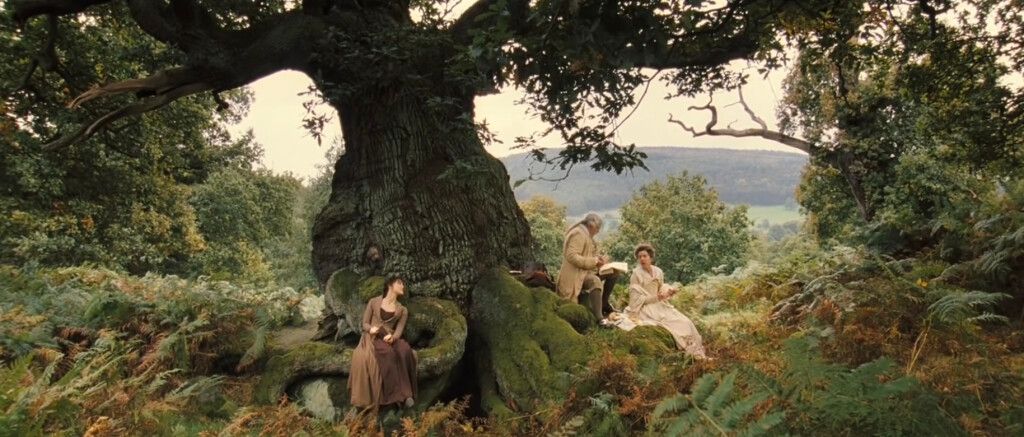 A Large Tree in the Forest