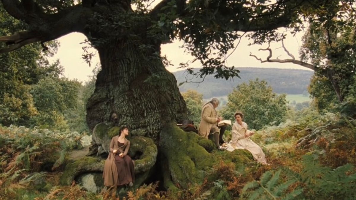 A Large Tree in the Forest